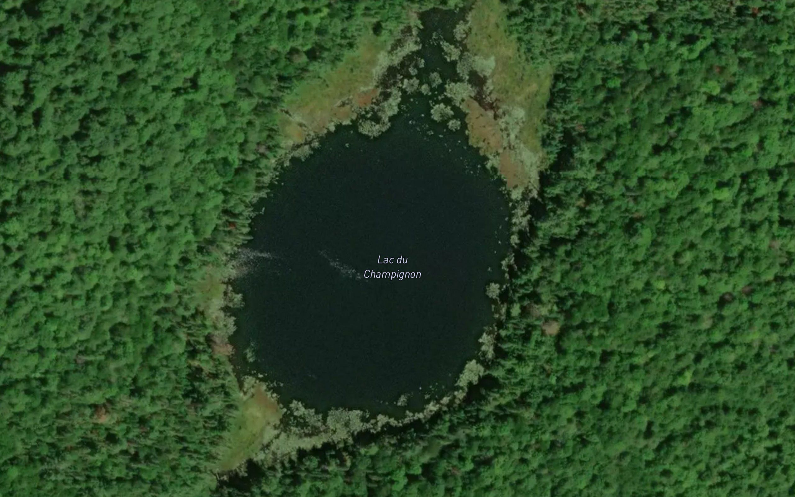 Lac du Champignon