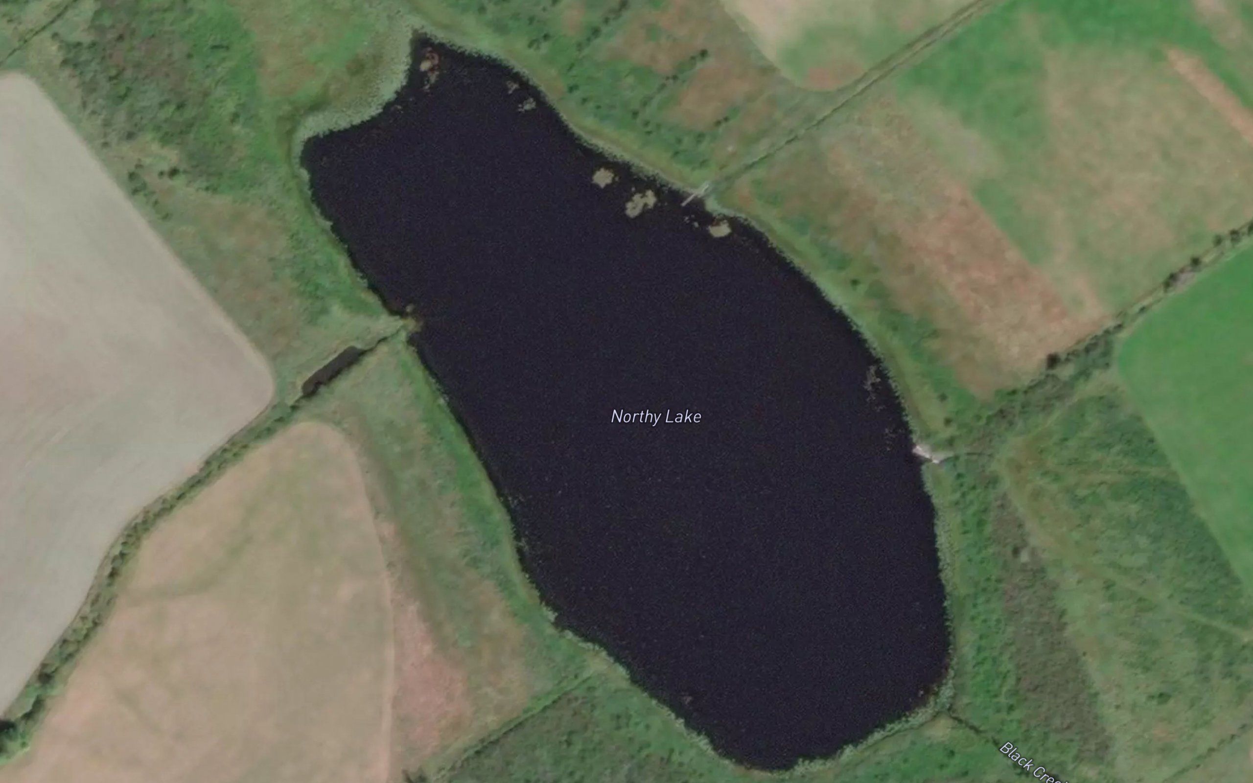 Northy Lake