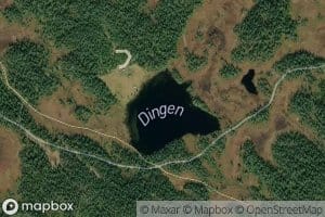 Dingen