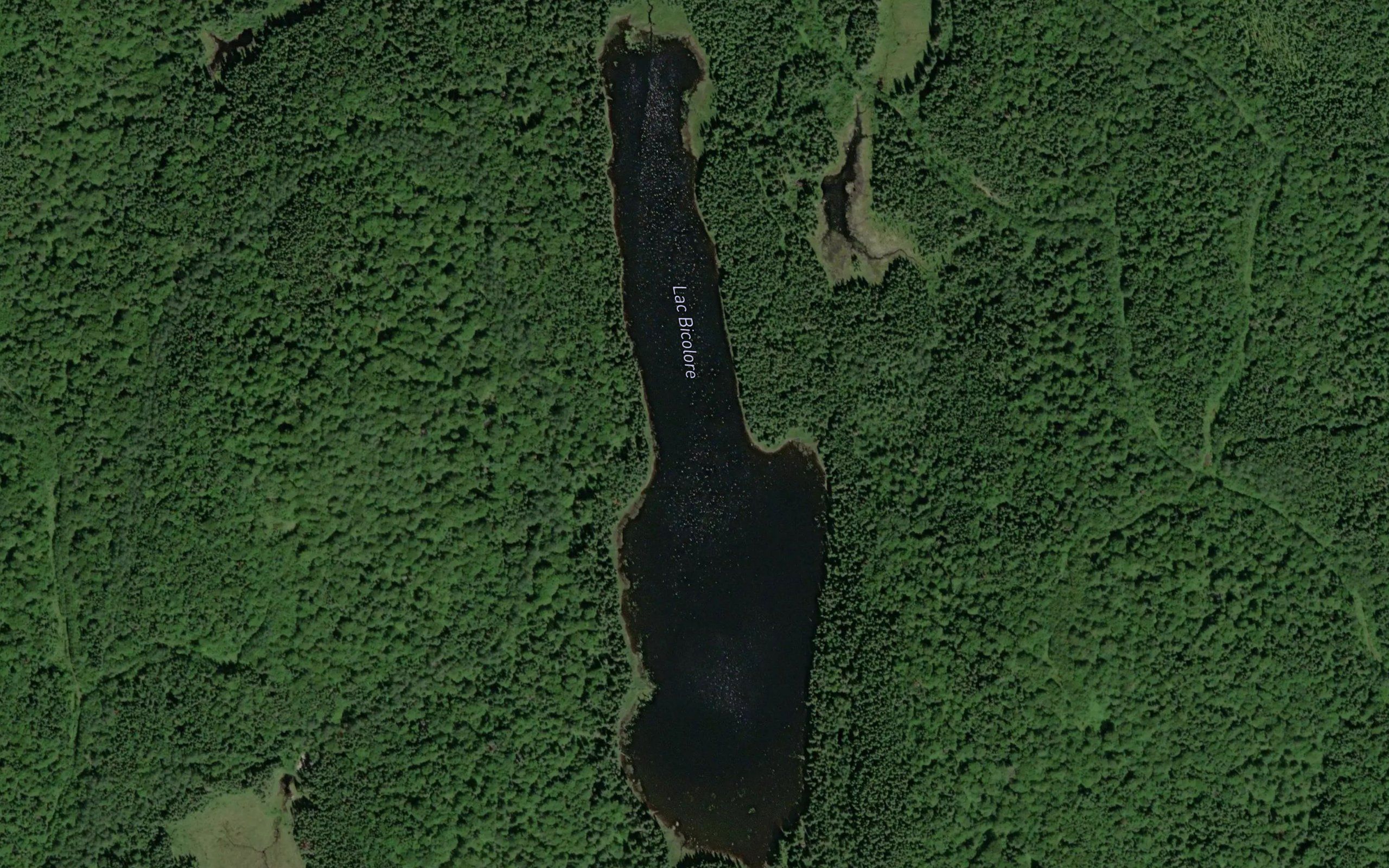 Lac Bicolore