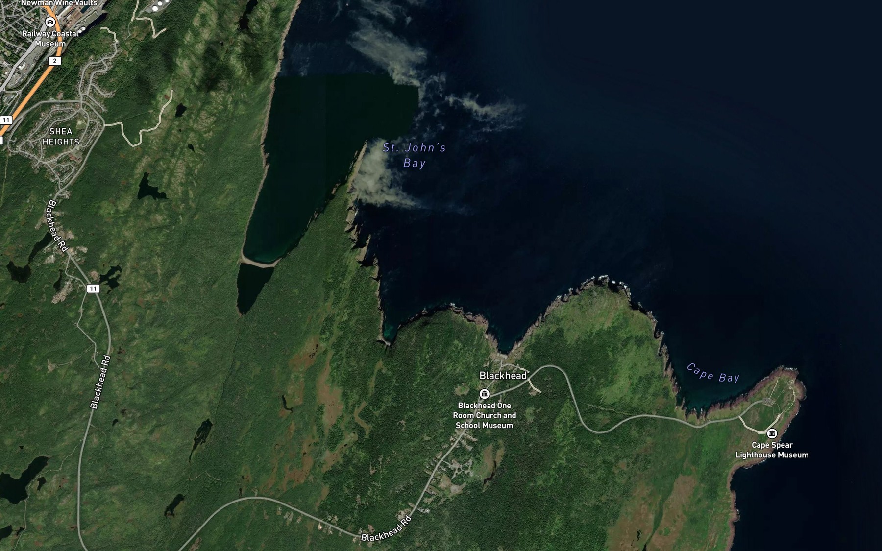 Satellite map of the Caplin Cove