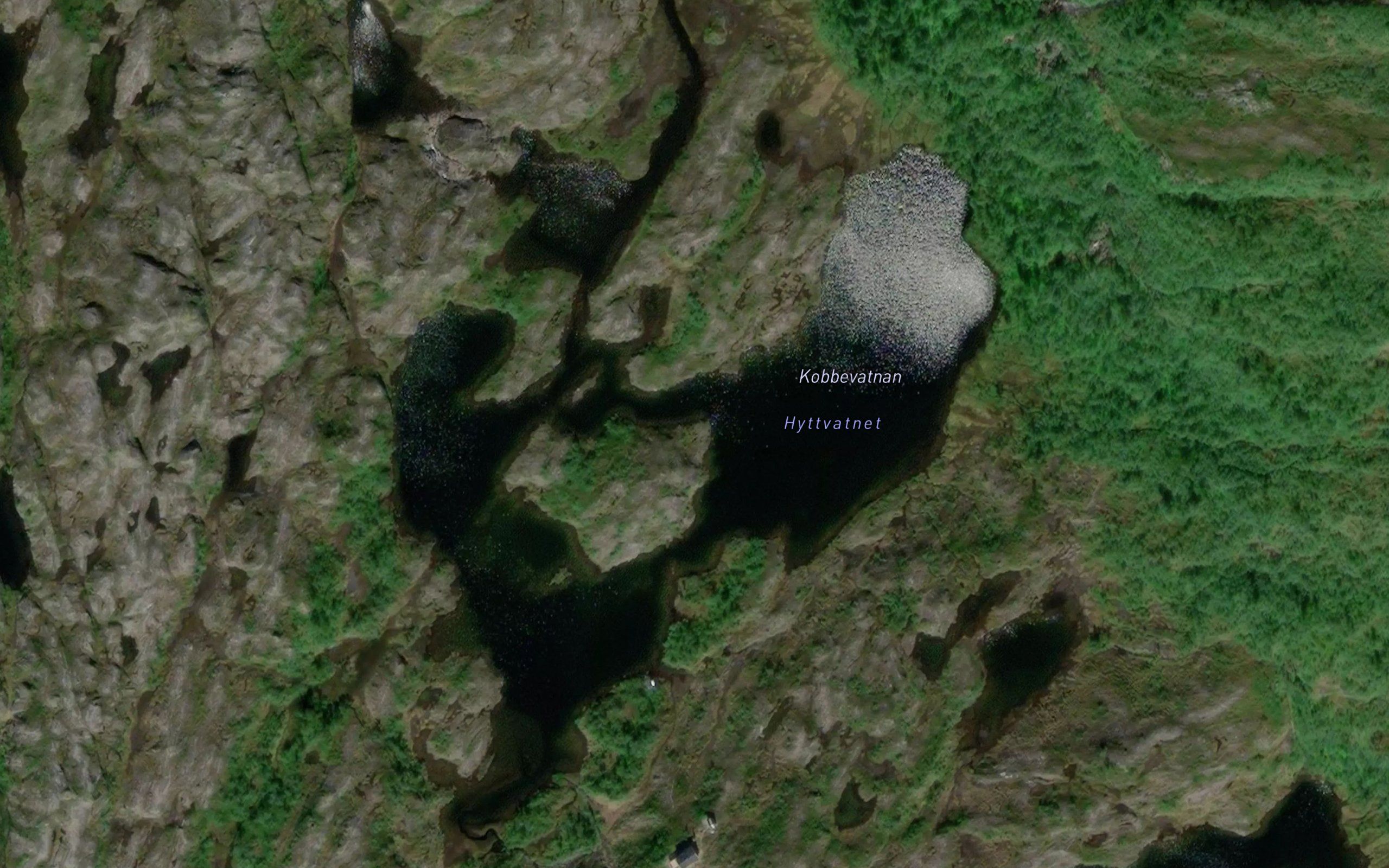 Kobbevatnan