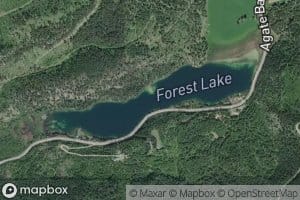 Forest Lake