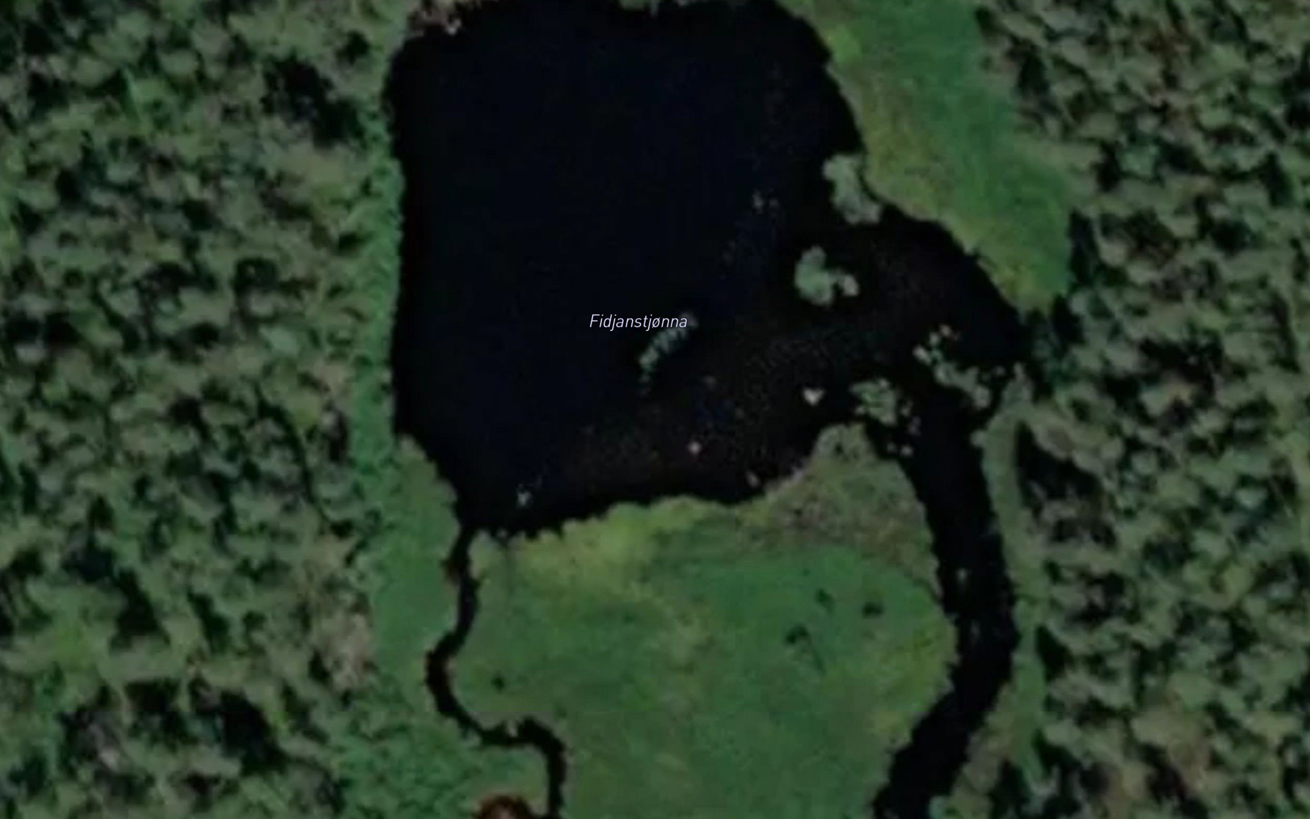 Fidjanstjonna