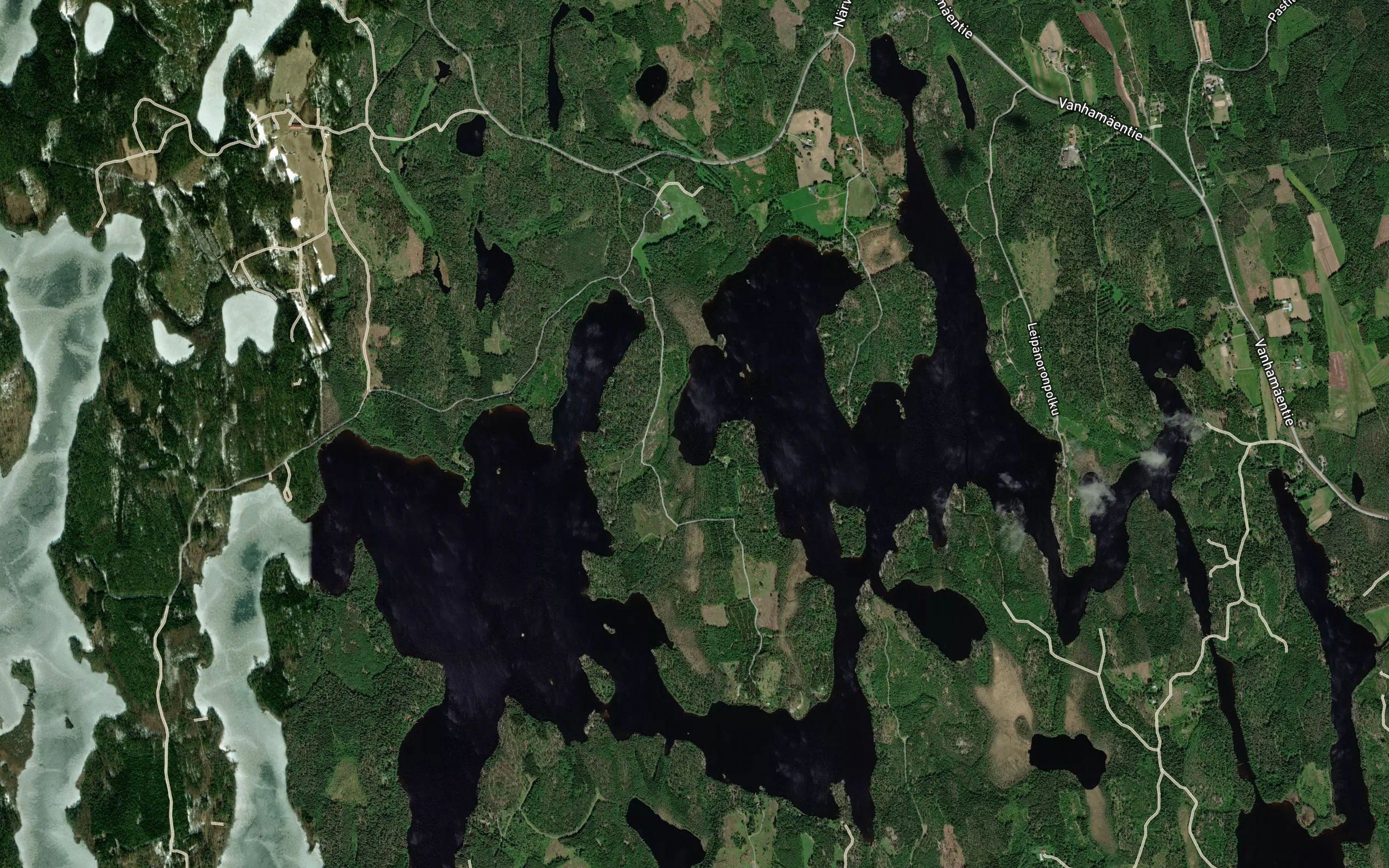 Sikosuonlahti