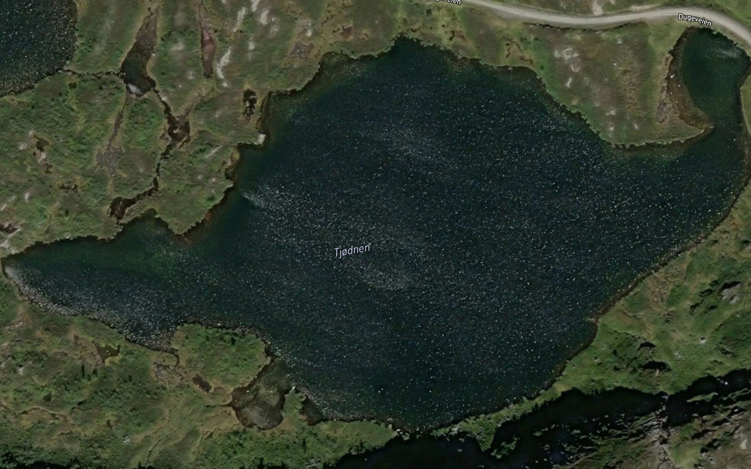 Tjodnen