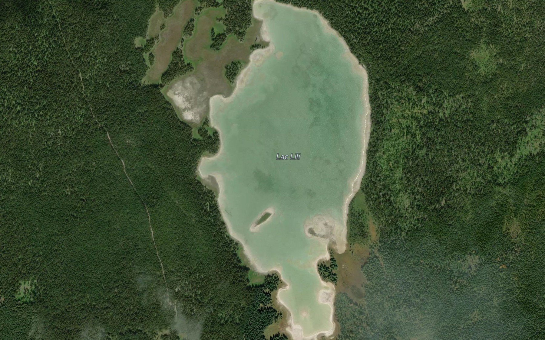 Satellite map of the Lac Lili