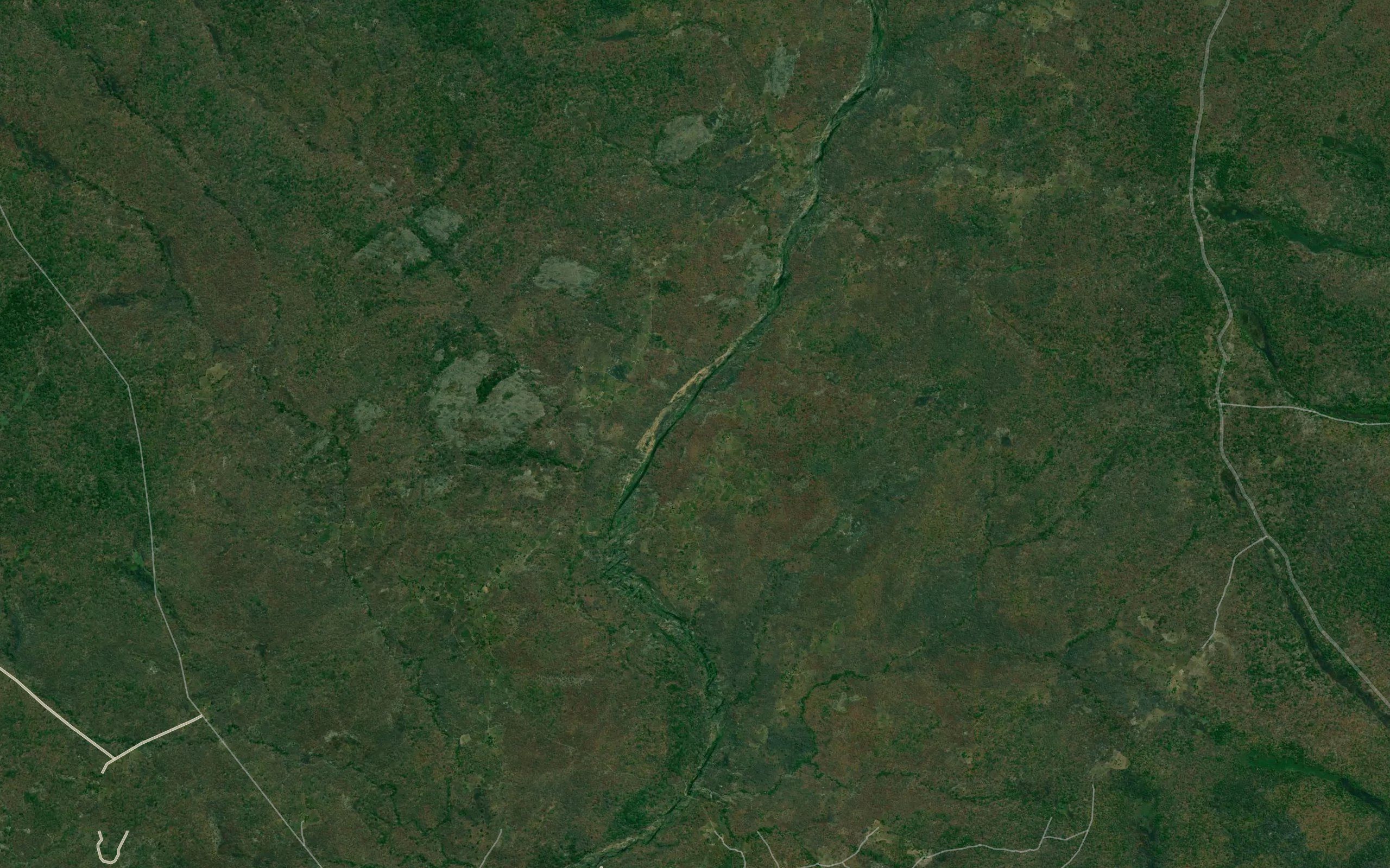 Nassarane