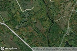 Mason Meadow Brook