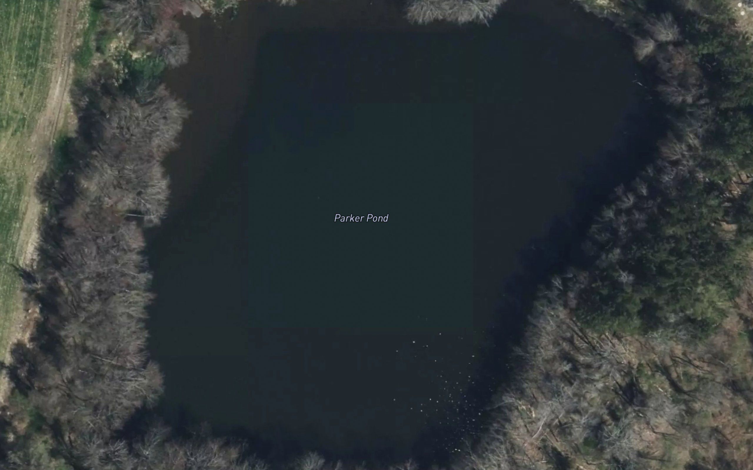 Parker Pond