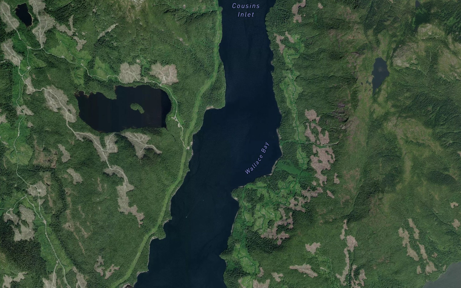 Satellite map of the Wallace Bay