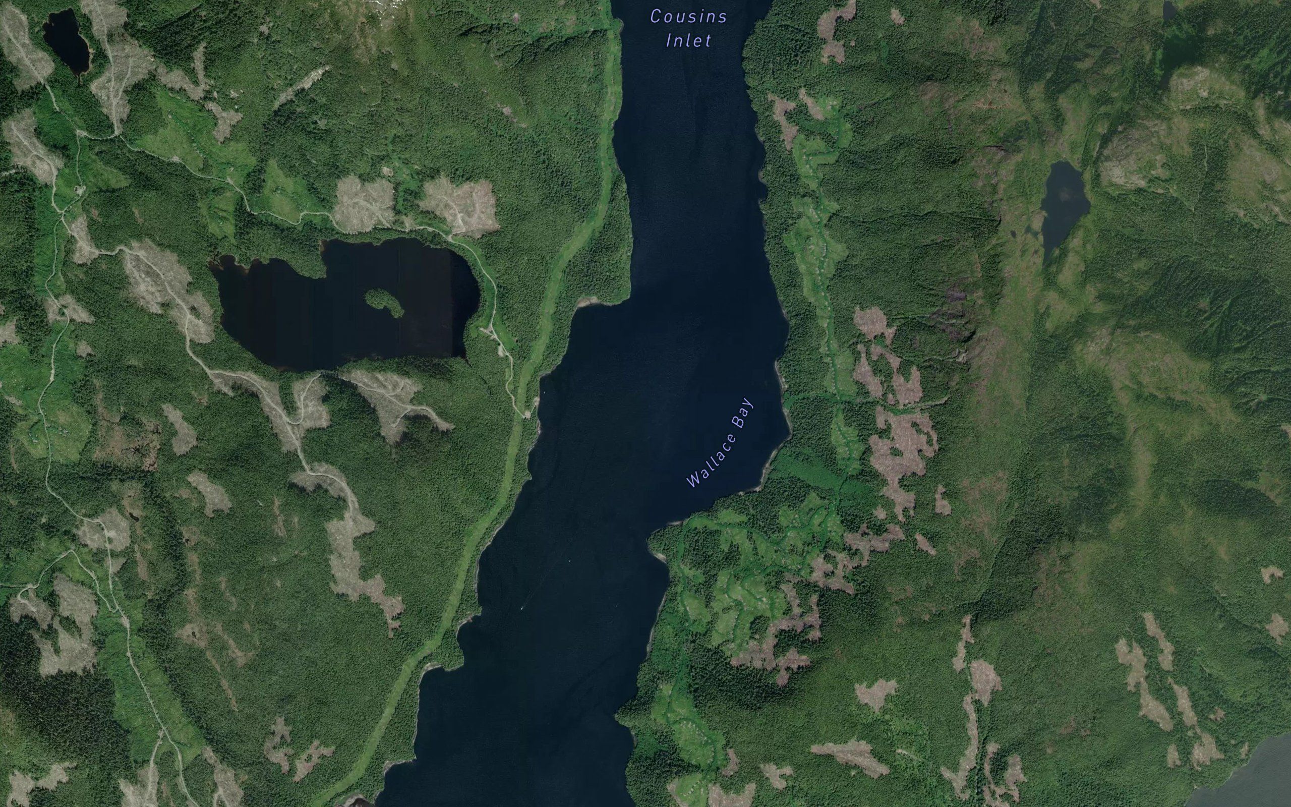 Wallace Bay