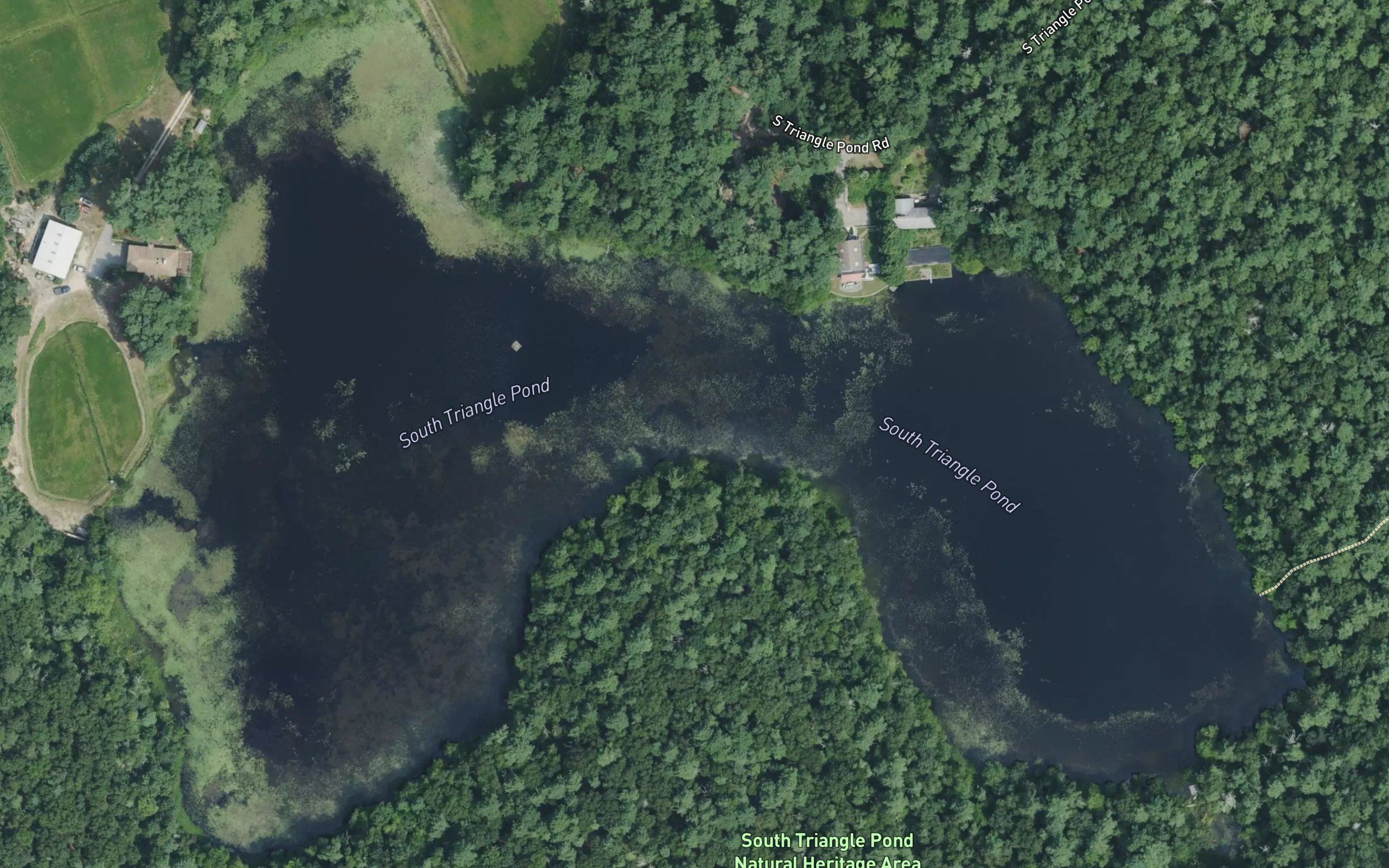 South Triangle Pond