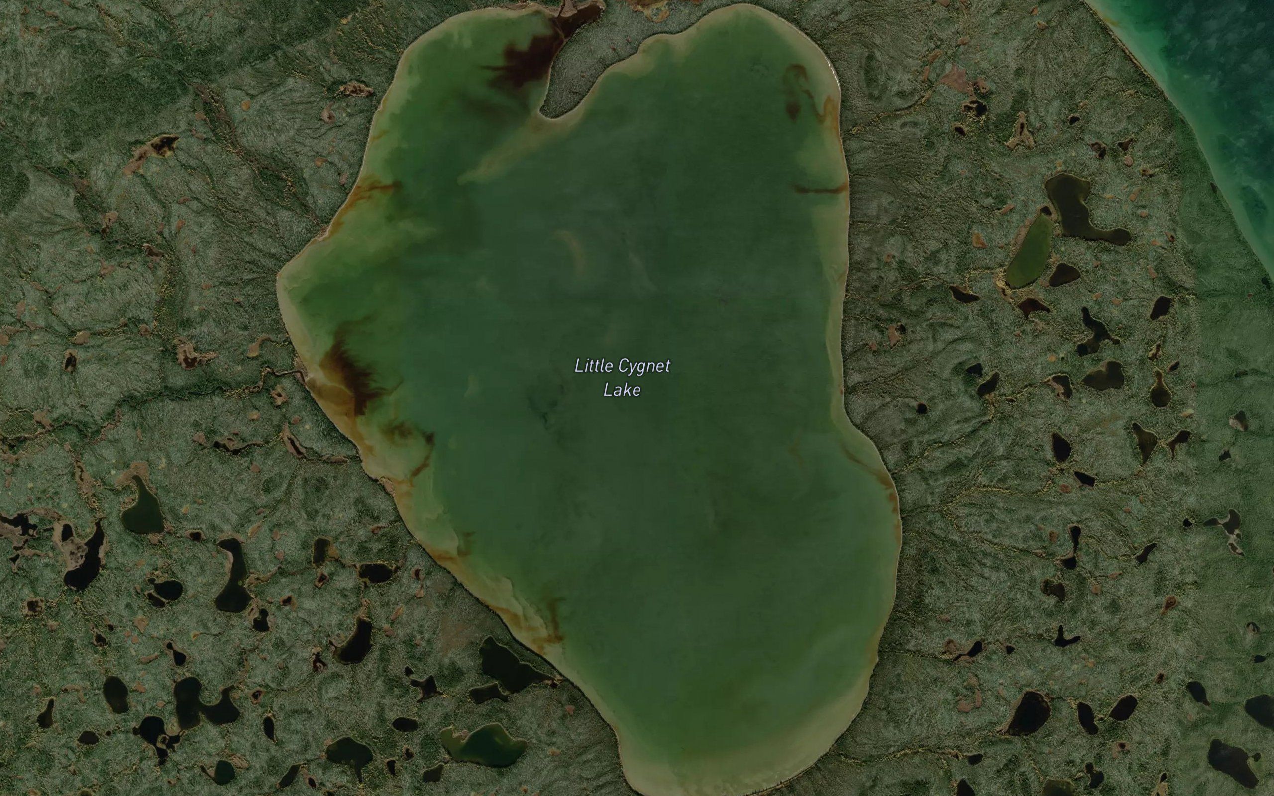 Little Cygnet Lake