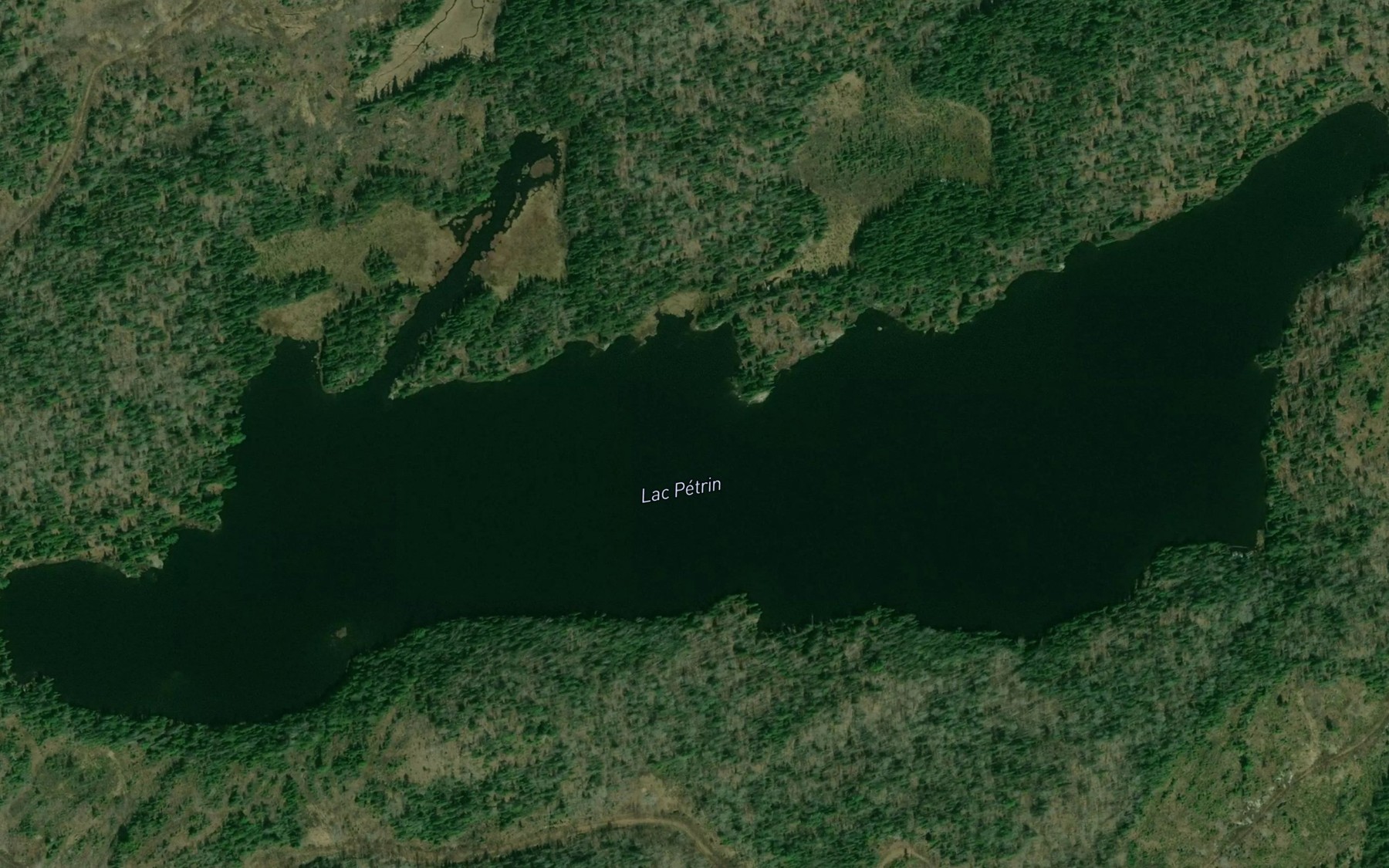 Satellite map of the Lac Petrin