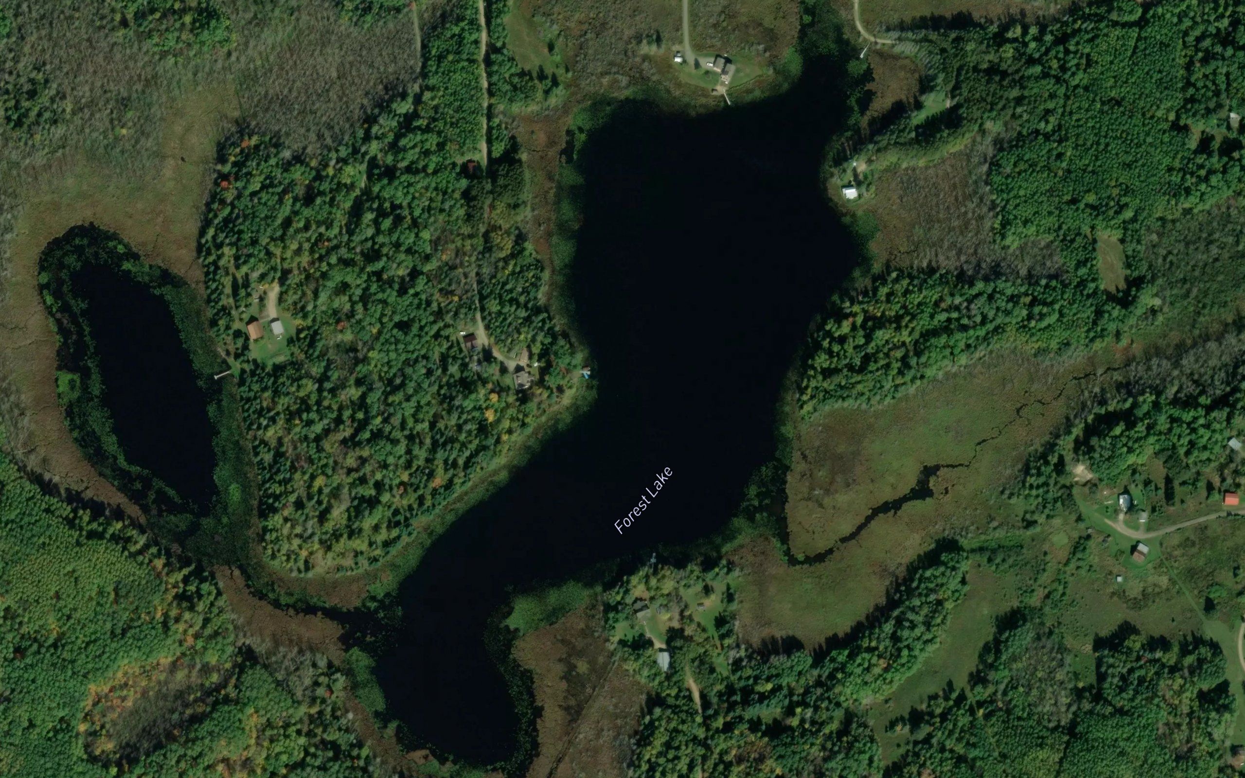 Forest Lake