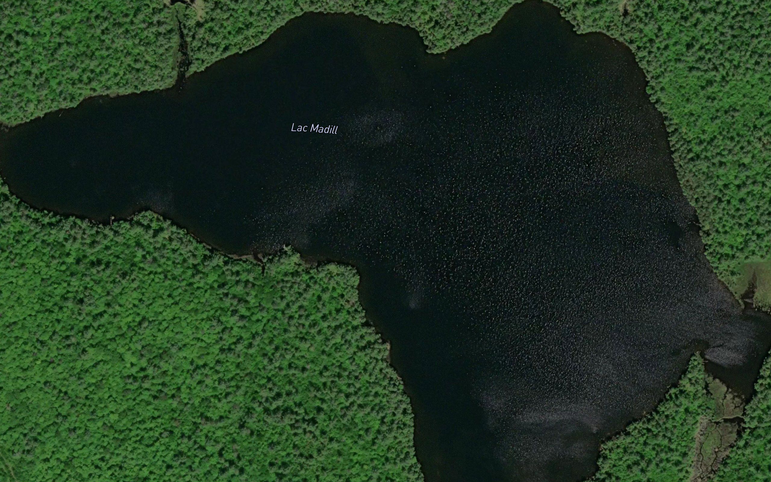 Lac Madill