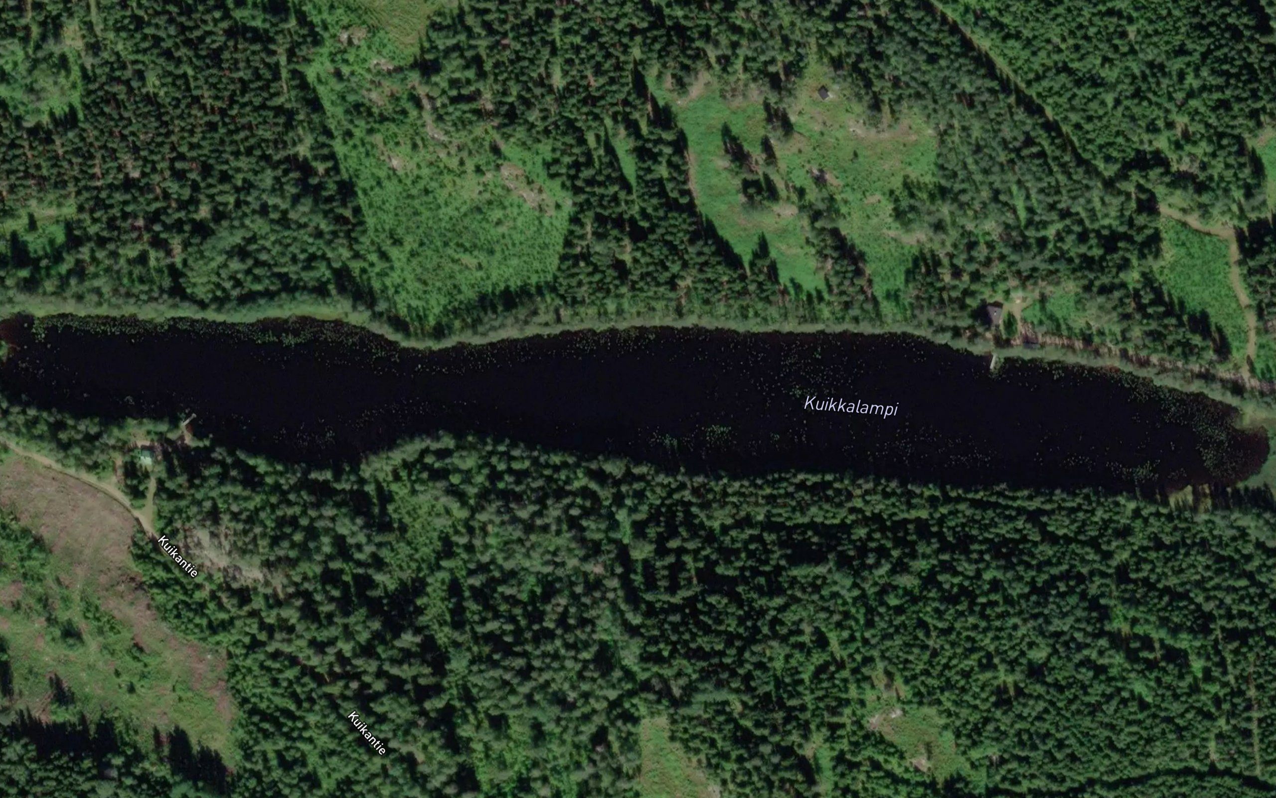 Kuikkalampi