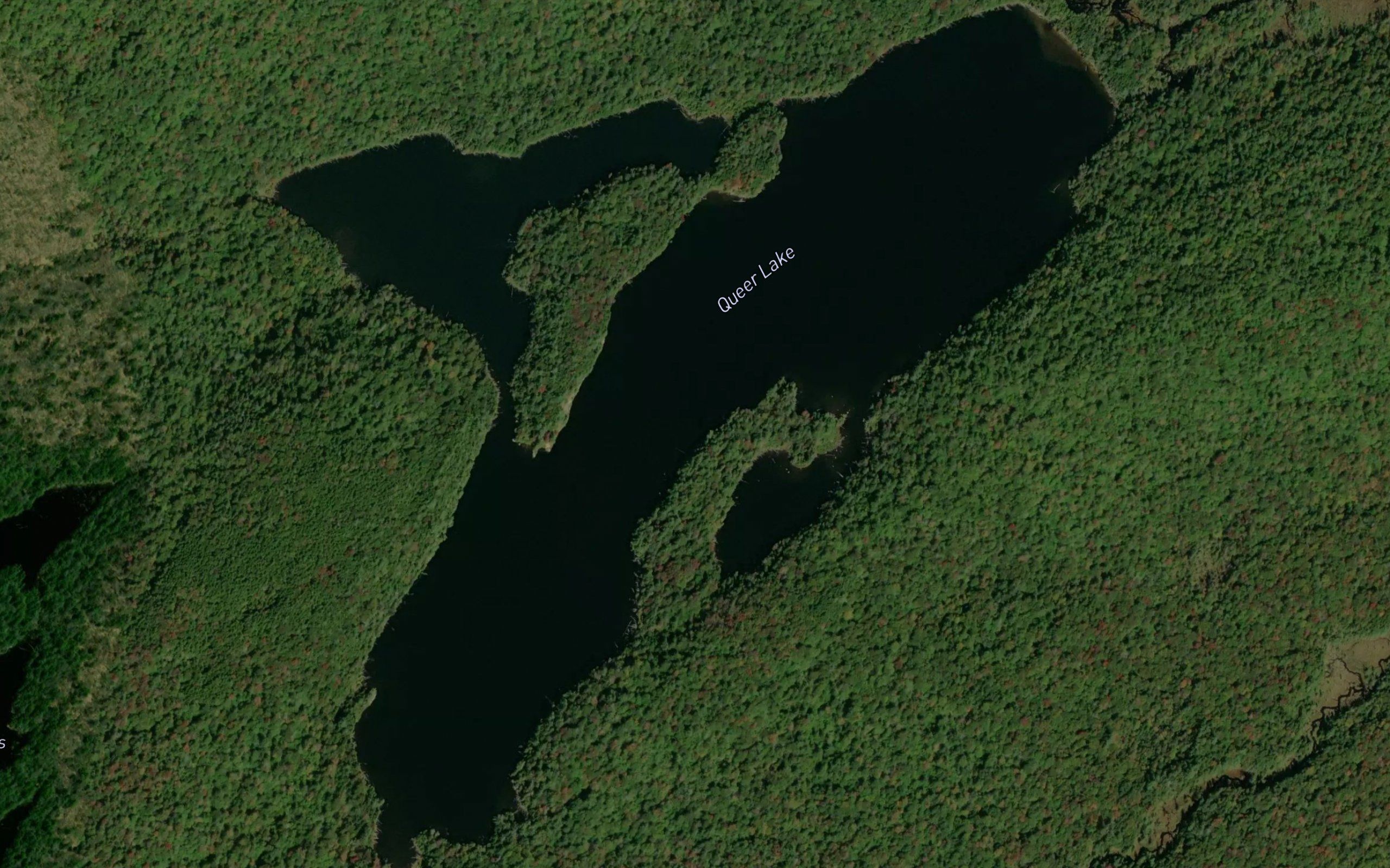 Queer Lake