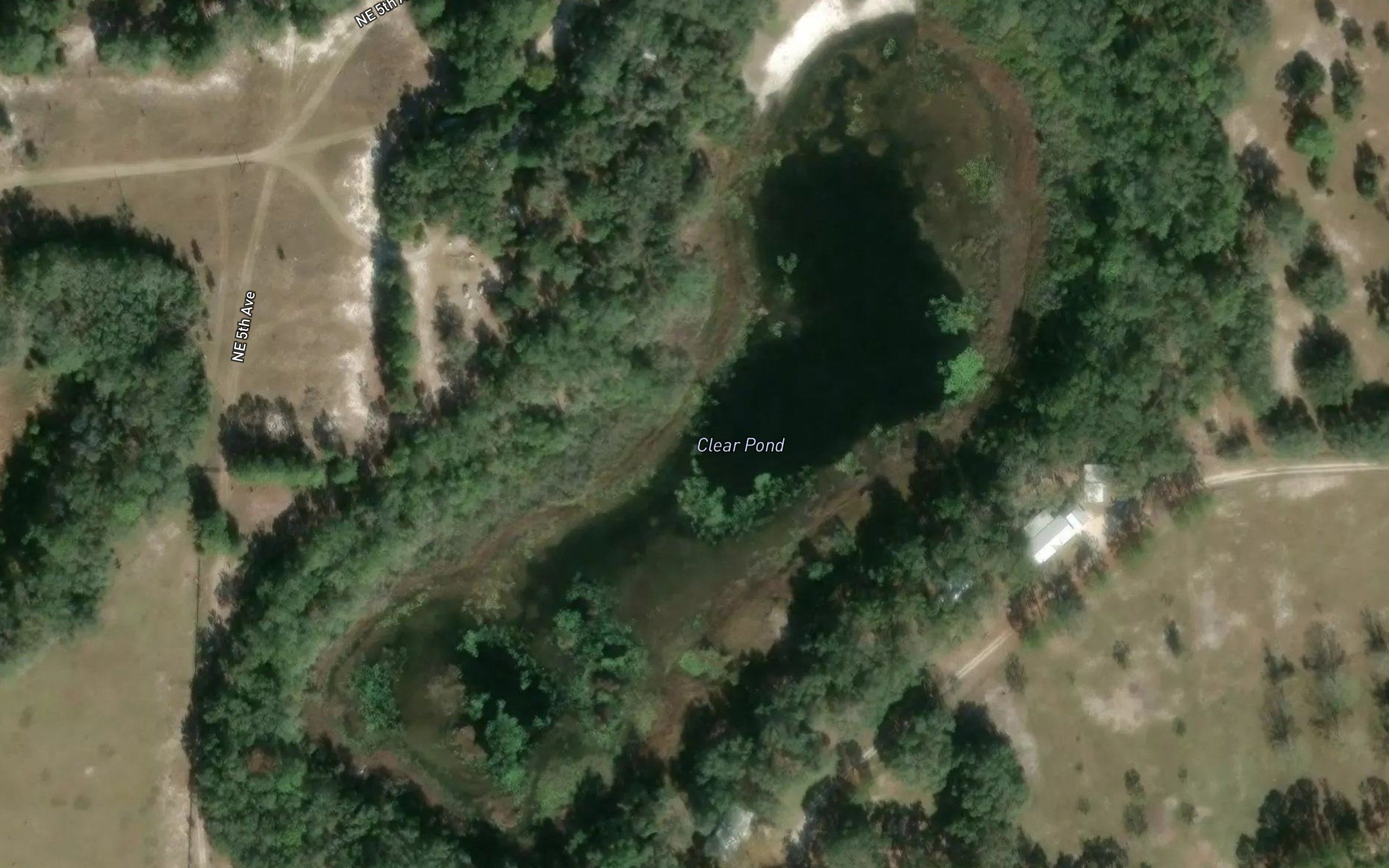 Clear Pond