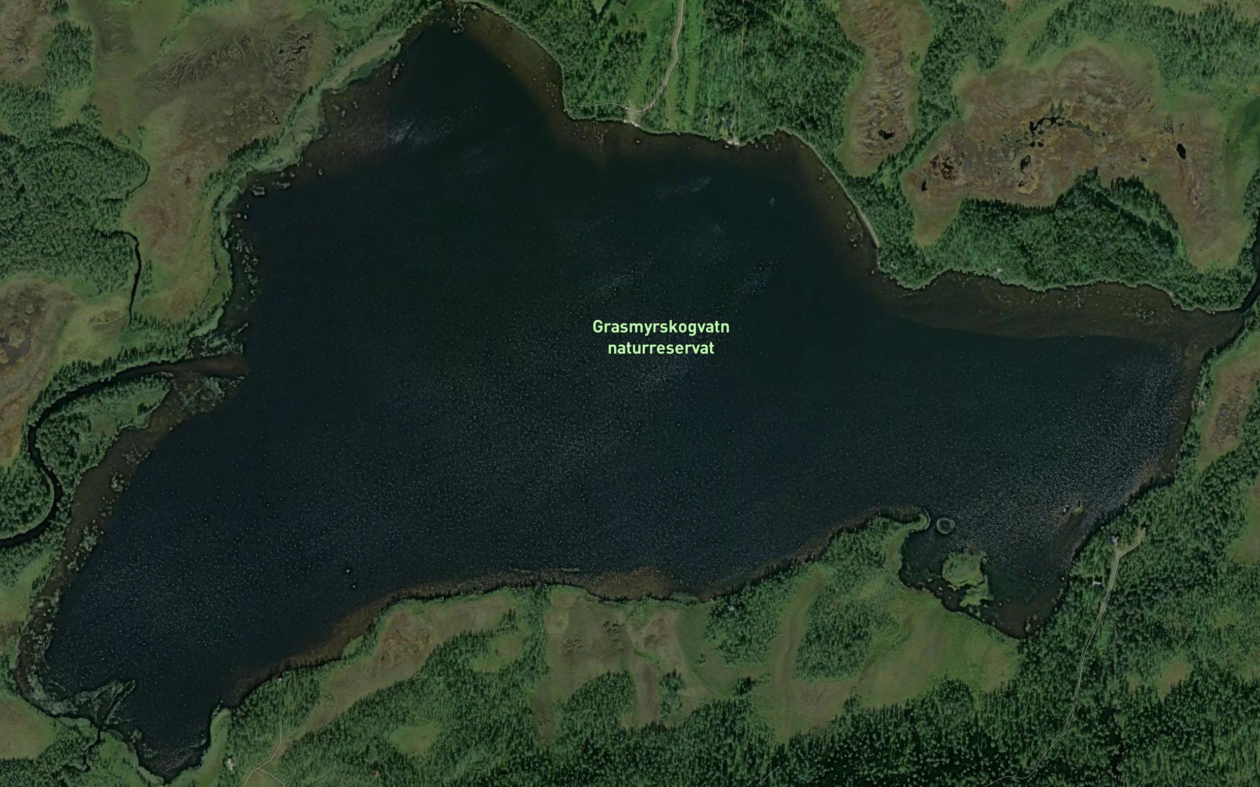Grasmyrskogvatnet