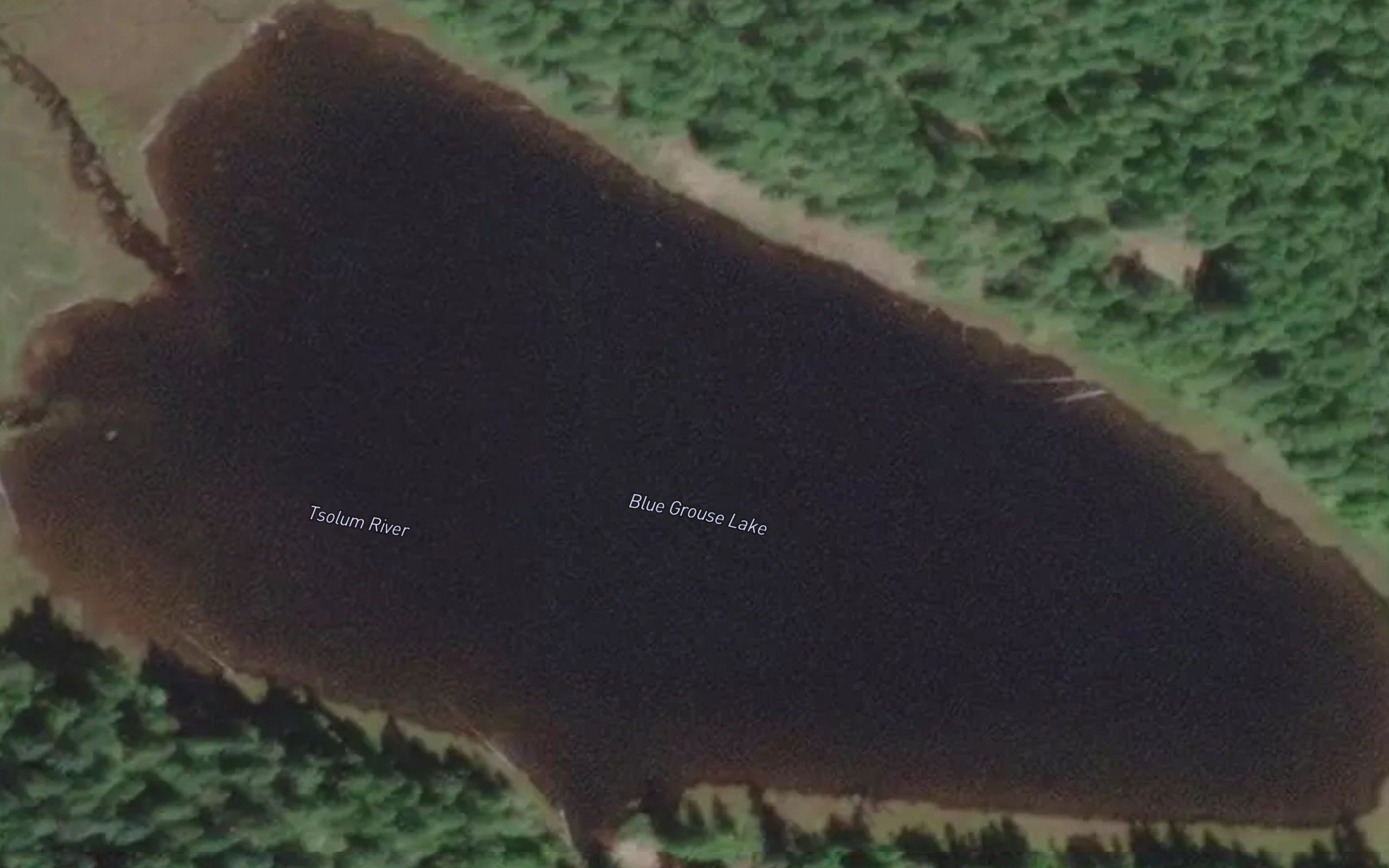 Blue Grouse Lake