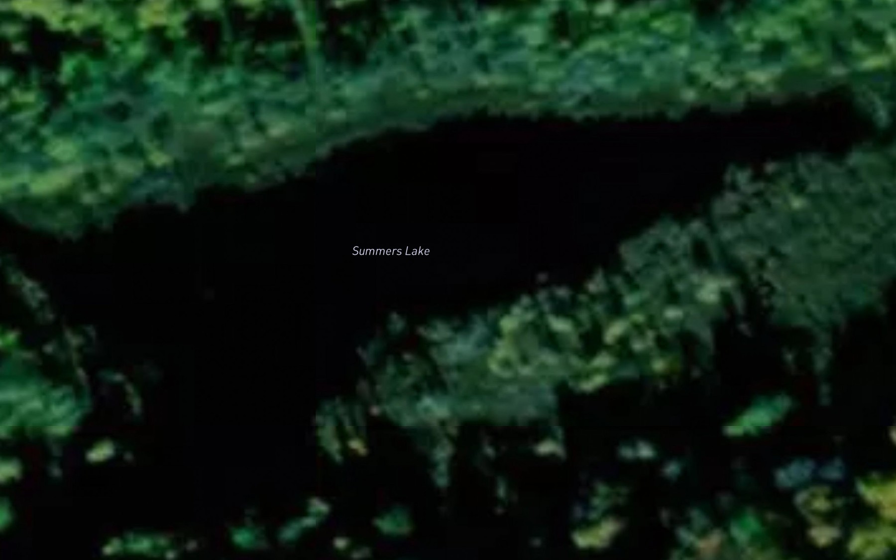 Satellite map of the Summers Lake
