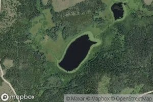 Duckling Lake