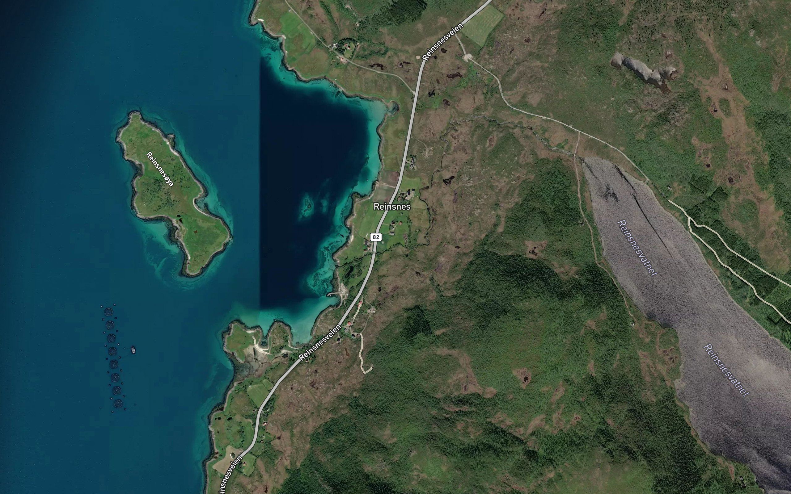 Reinsneselva
