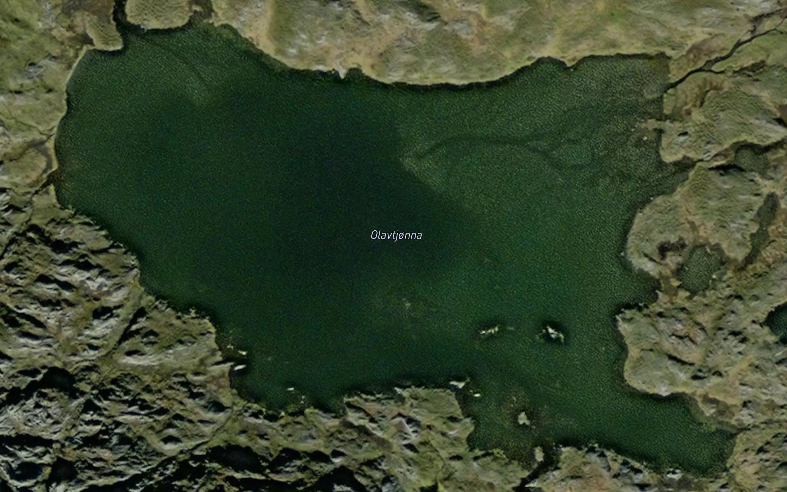 Olavtjonna