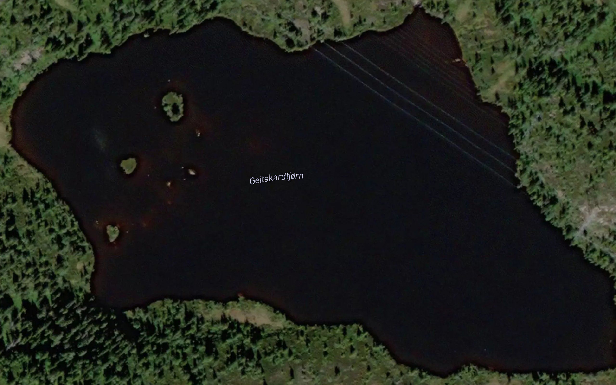 Geitskartjorn