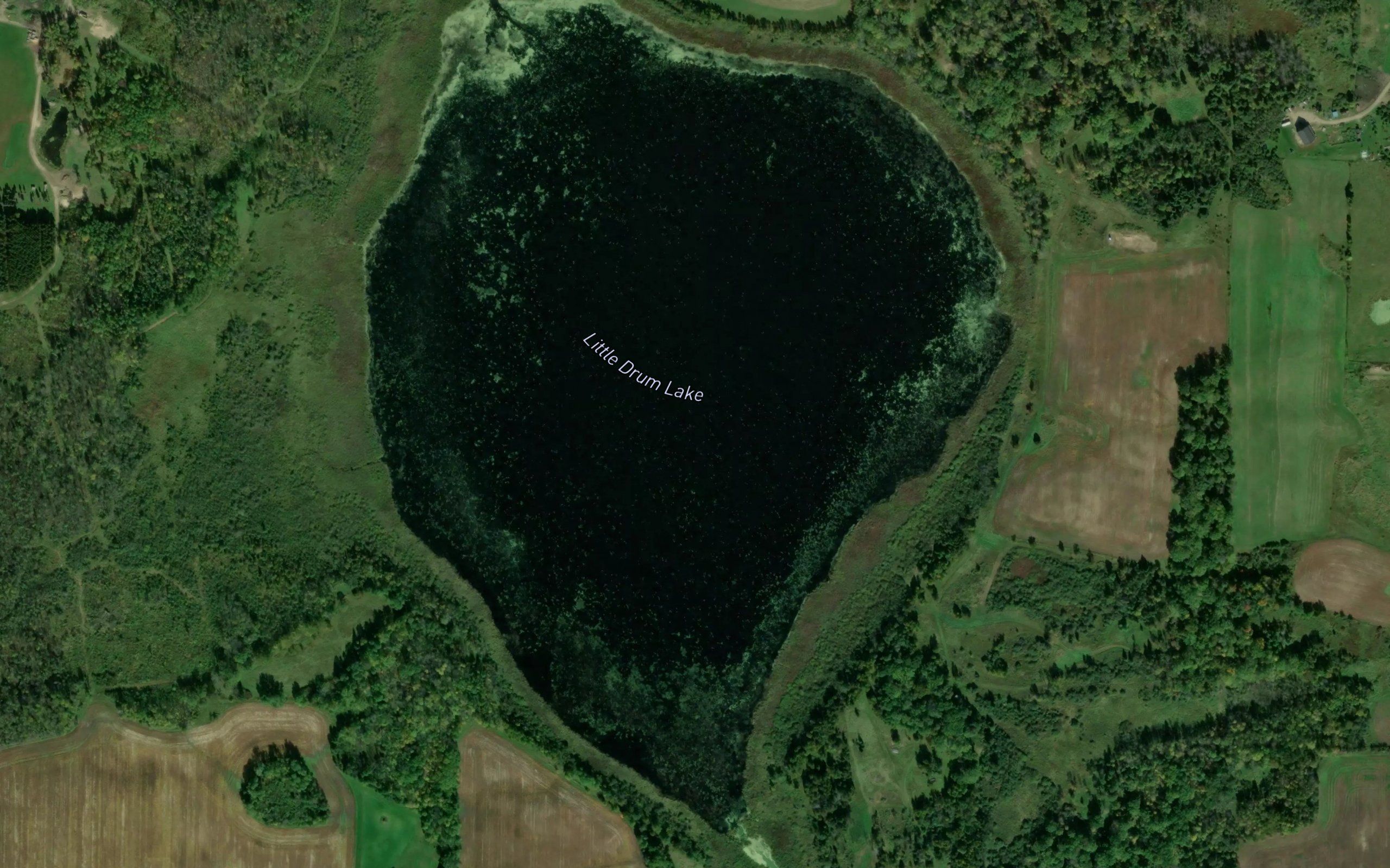 Little Drum Lake