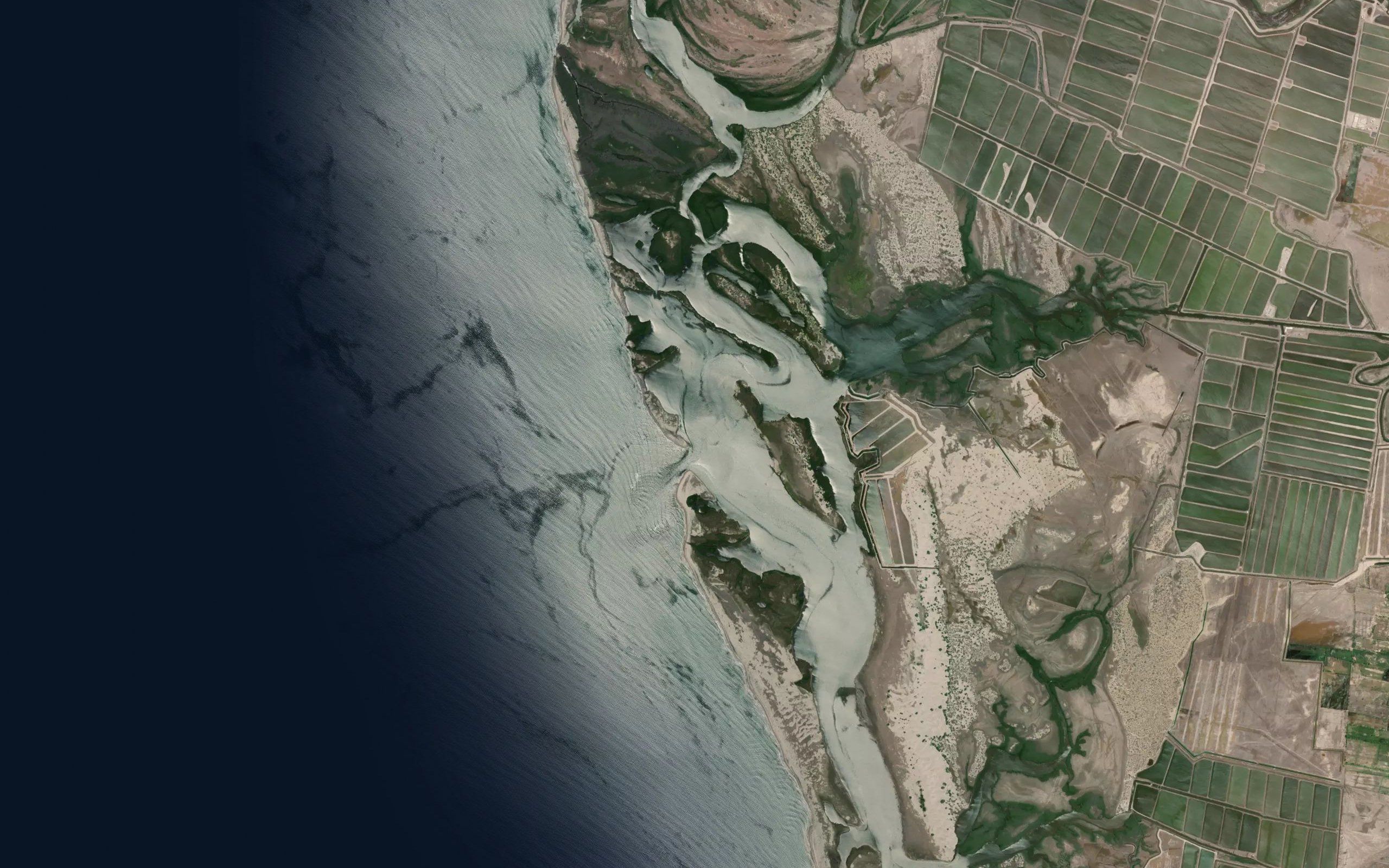Estero las Borregas