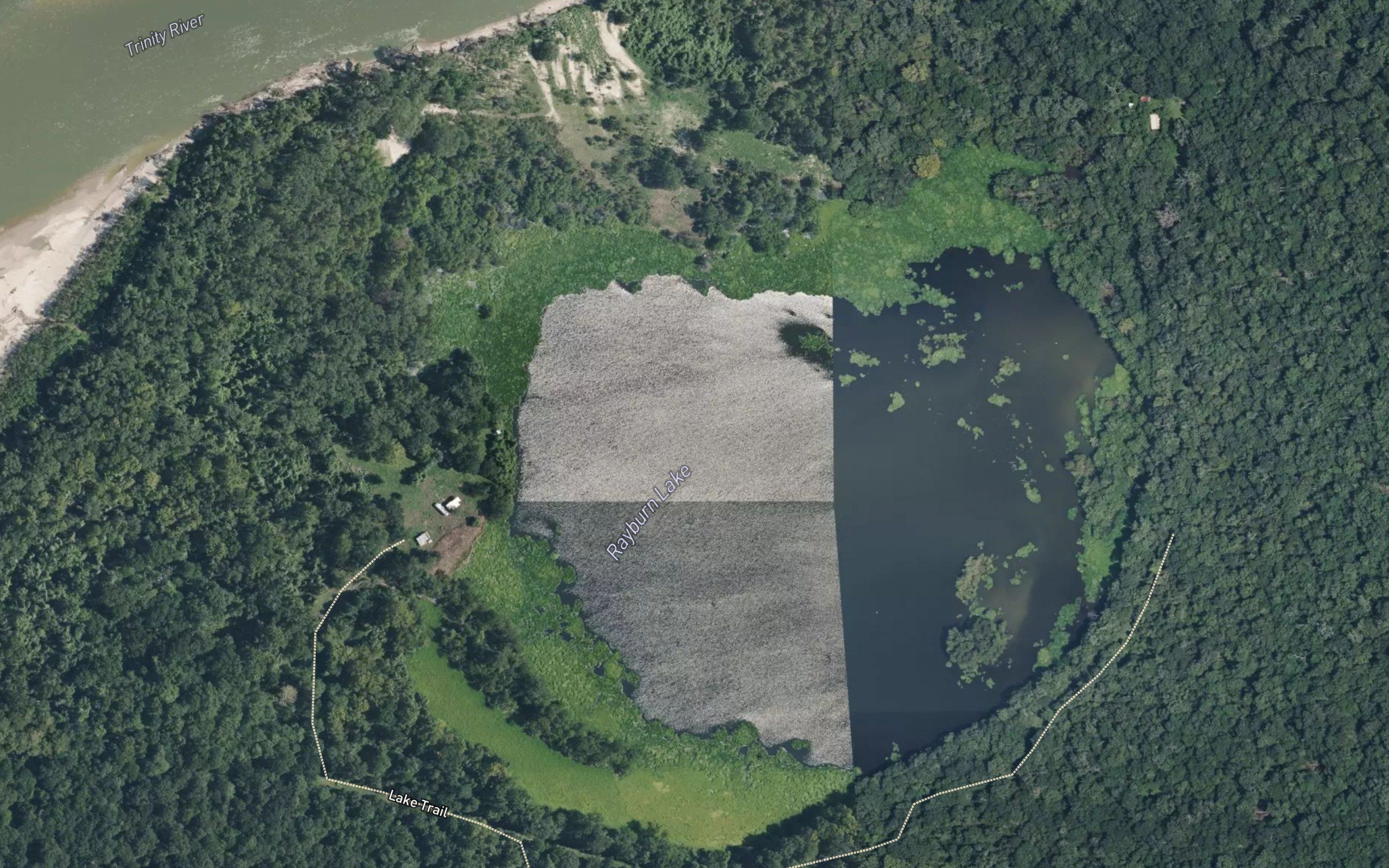Rayburn Lake