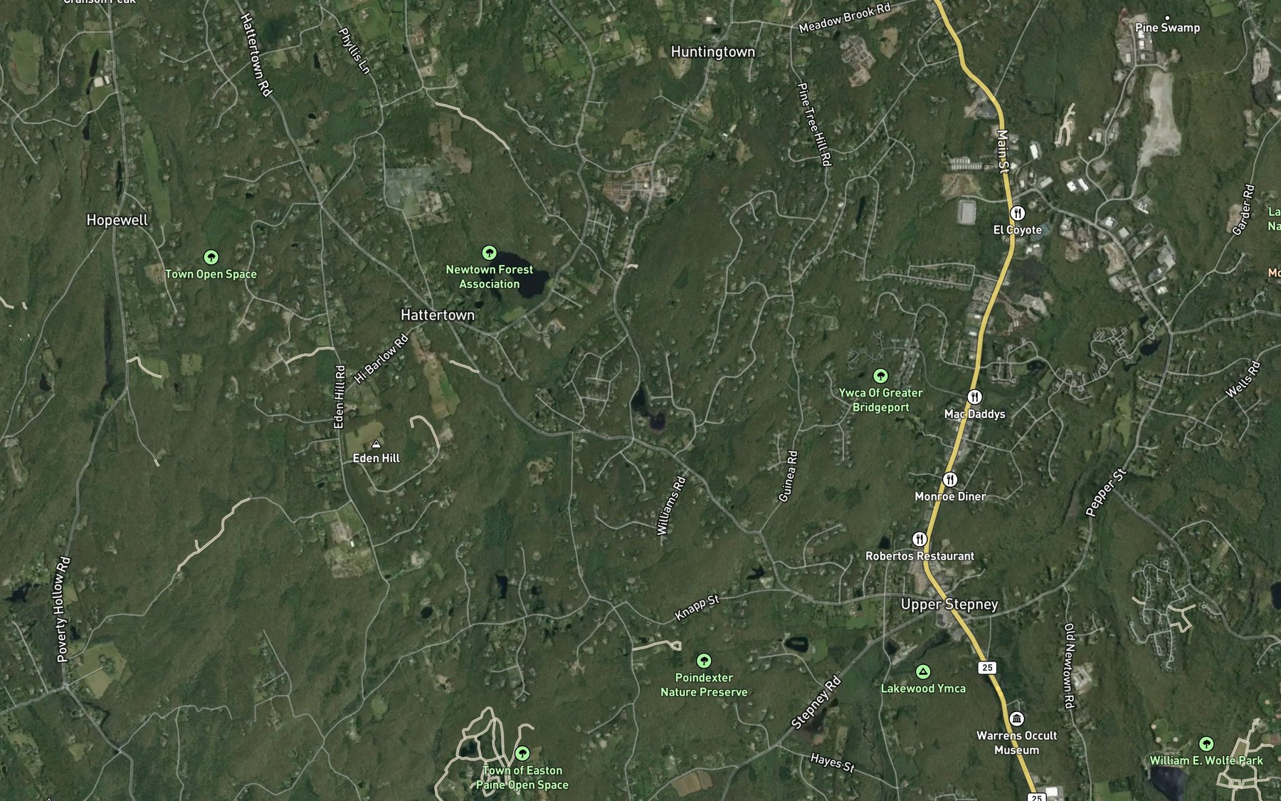 Satellite map of the Guskie Pond