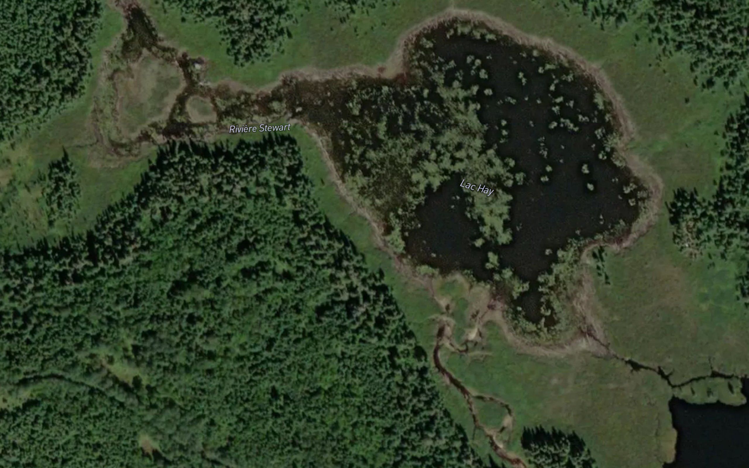 Lac Hay