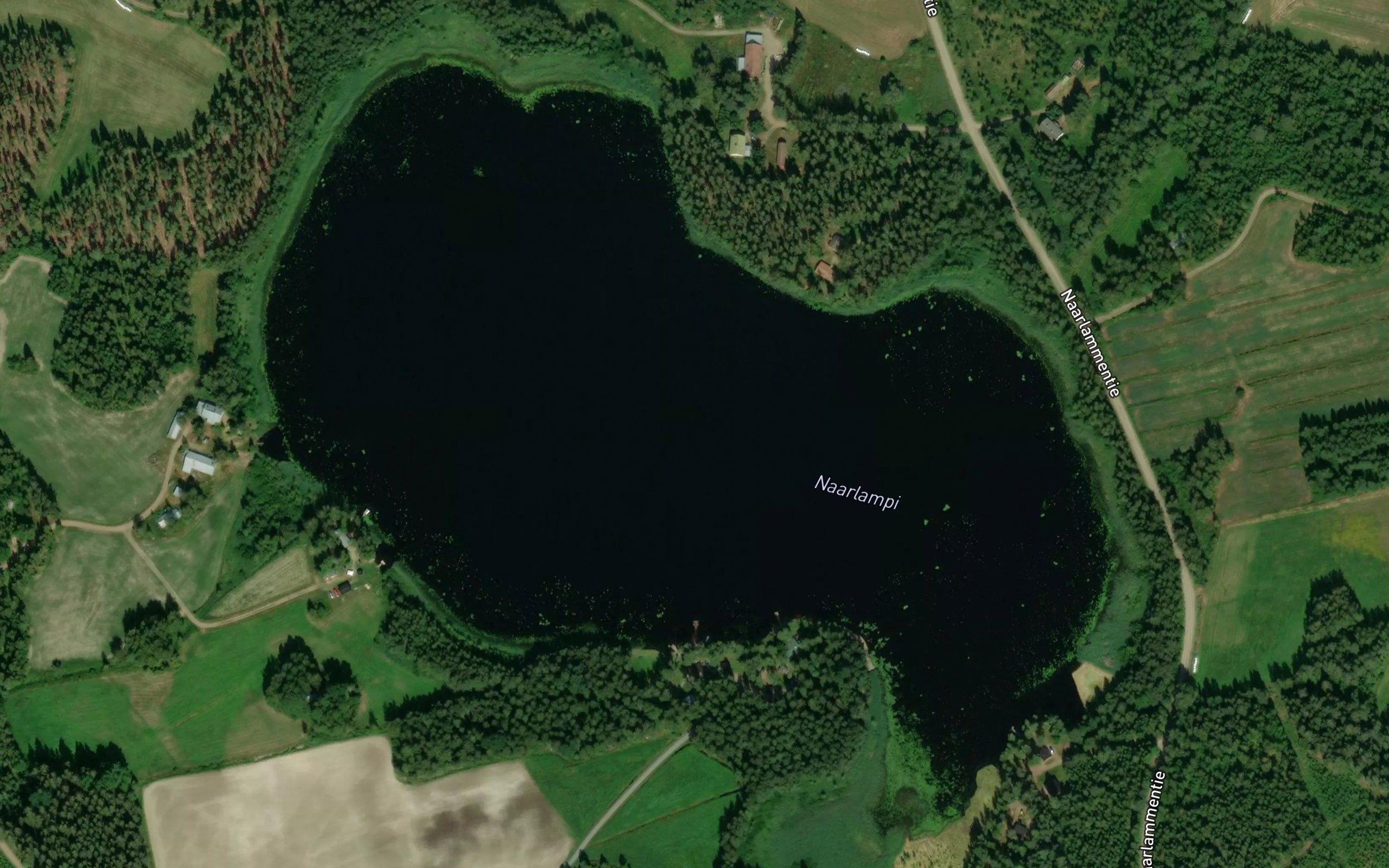 Naarlampi