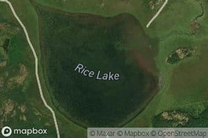 Rice Lake
