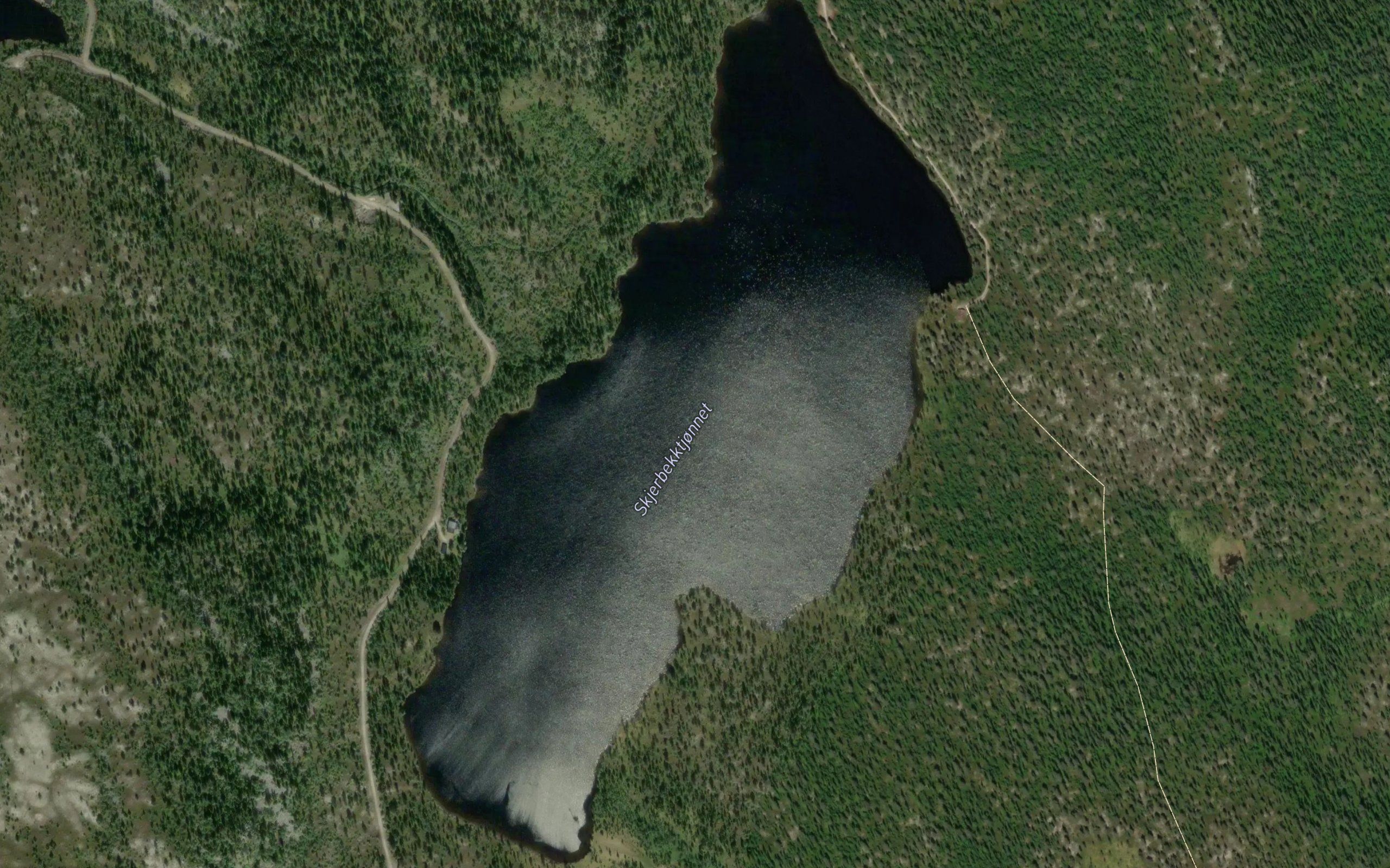 Skjerbekktjornet