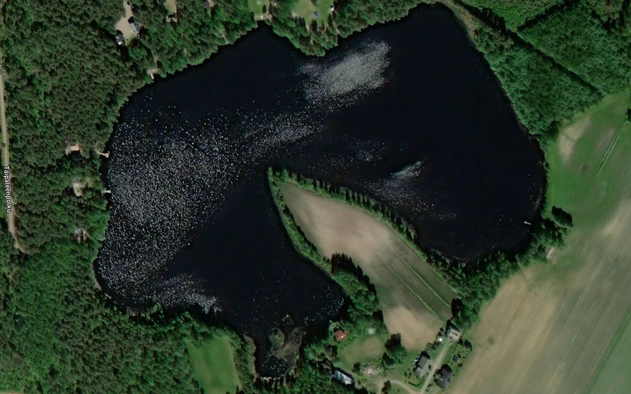 Taipaleenjarvi