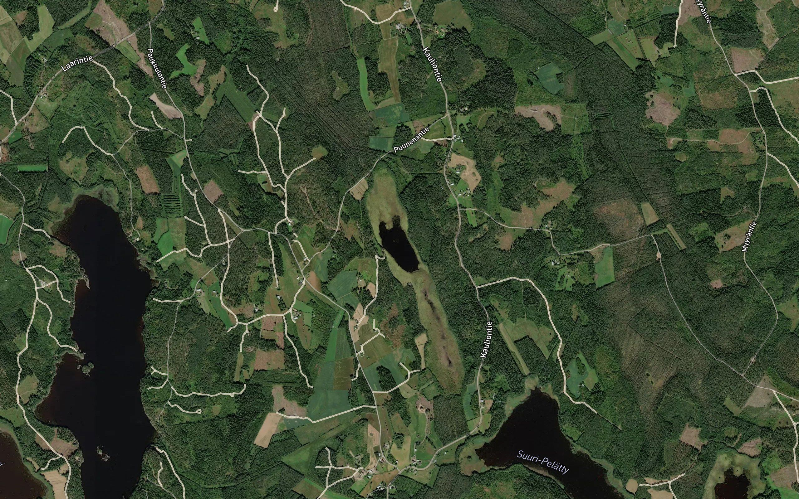 Vuorinen