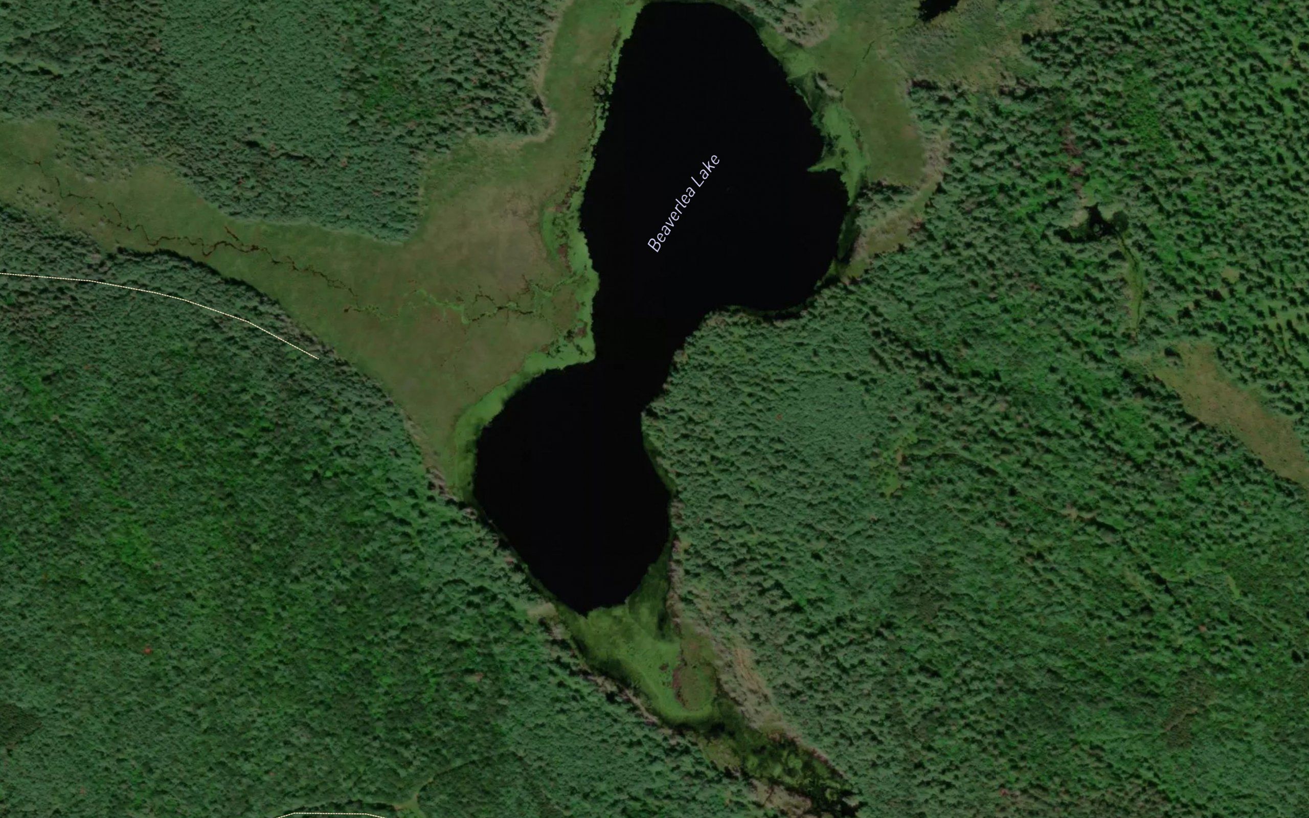 Beaverlea Lake