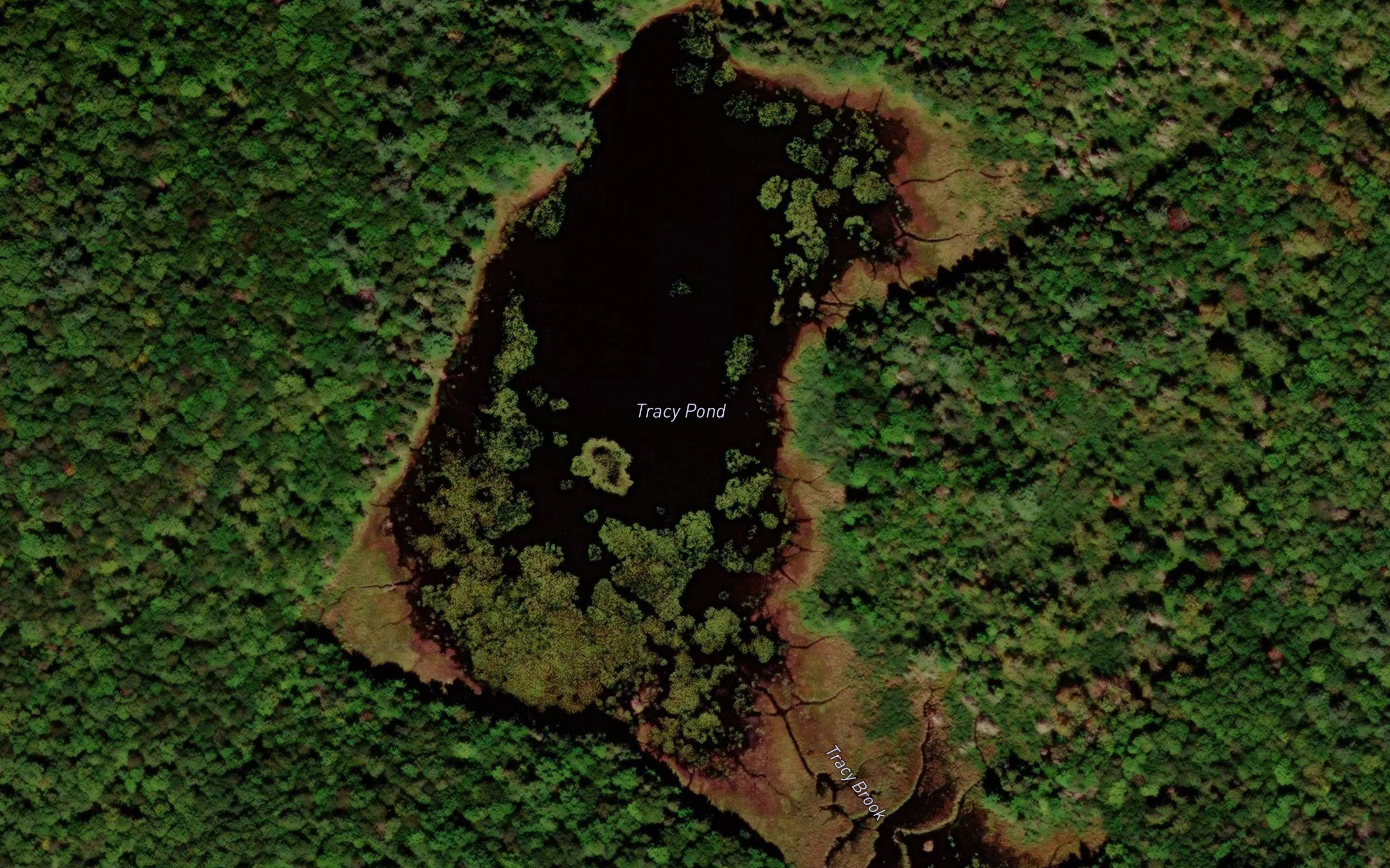 Tracy Pond