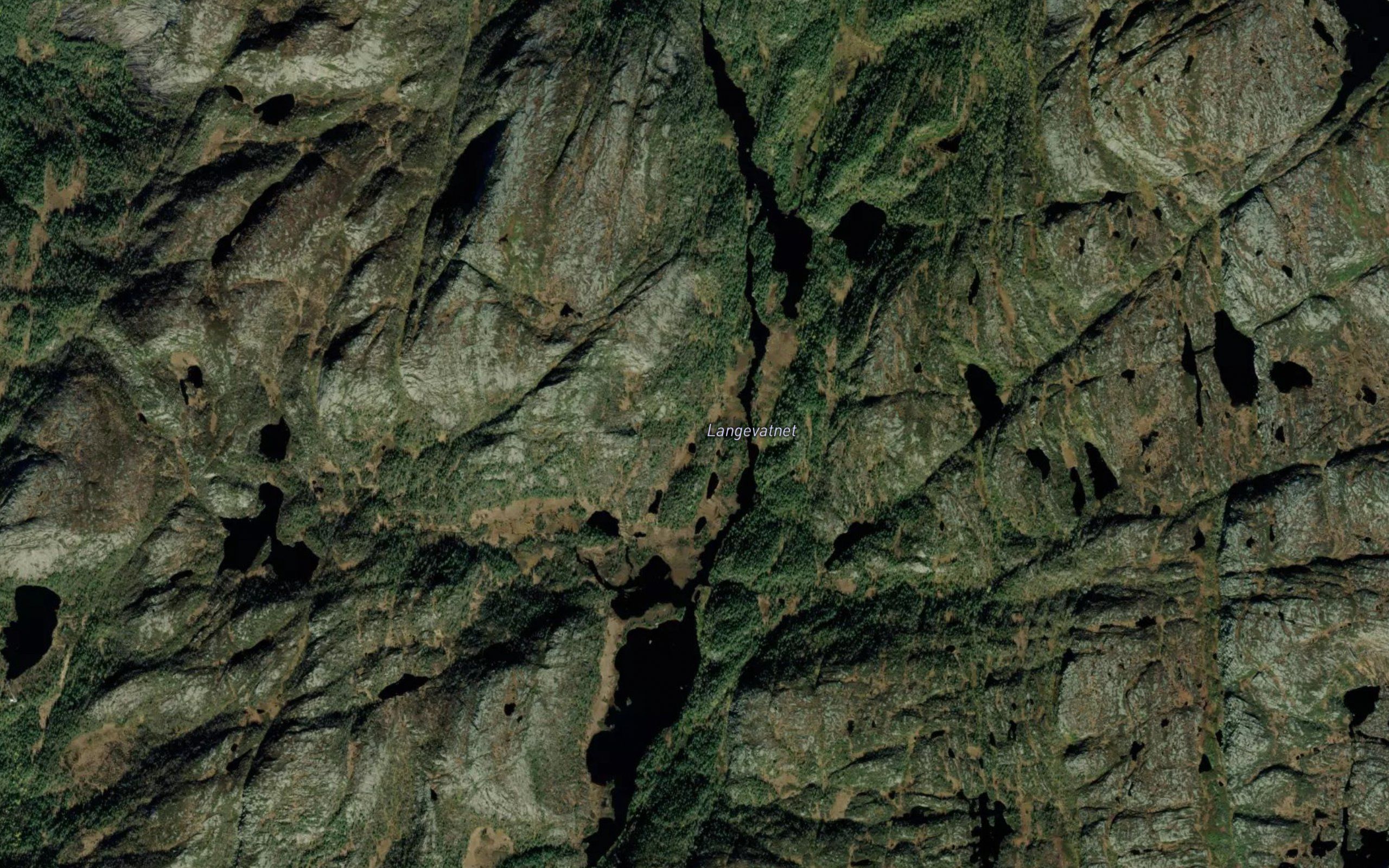 Langevatnet