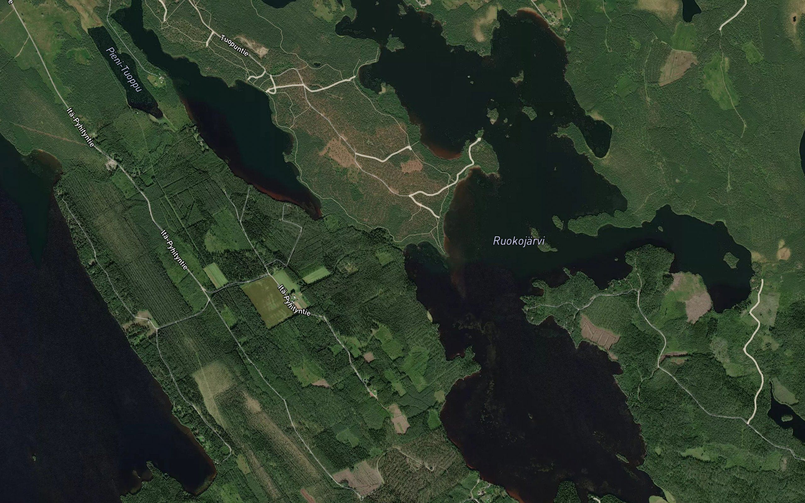 Tuopunjoki