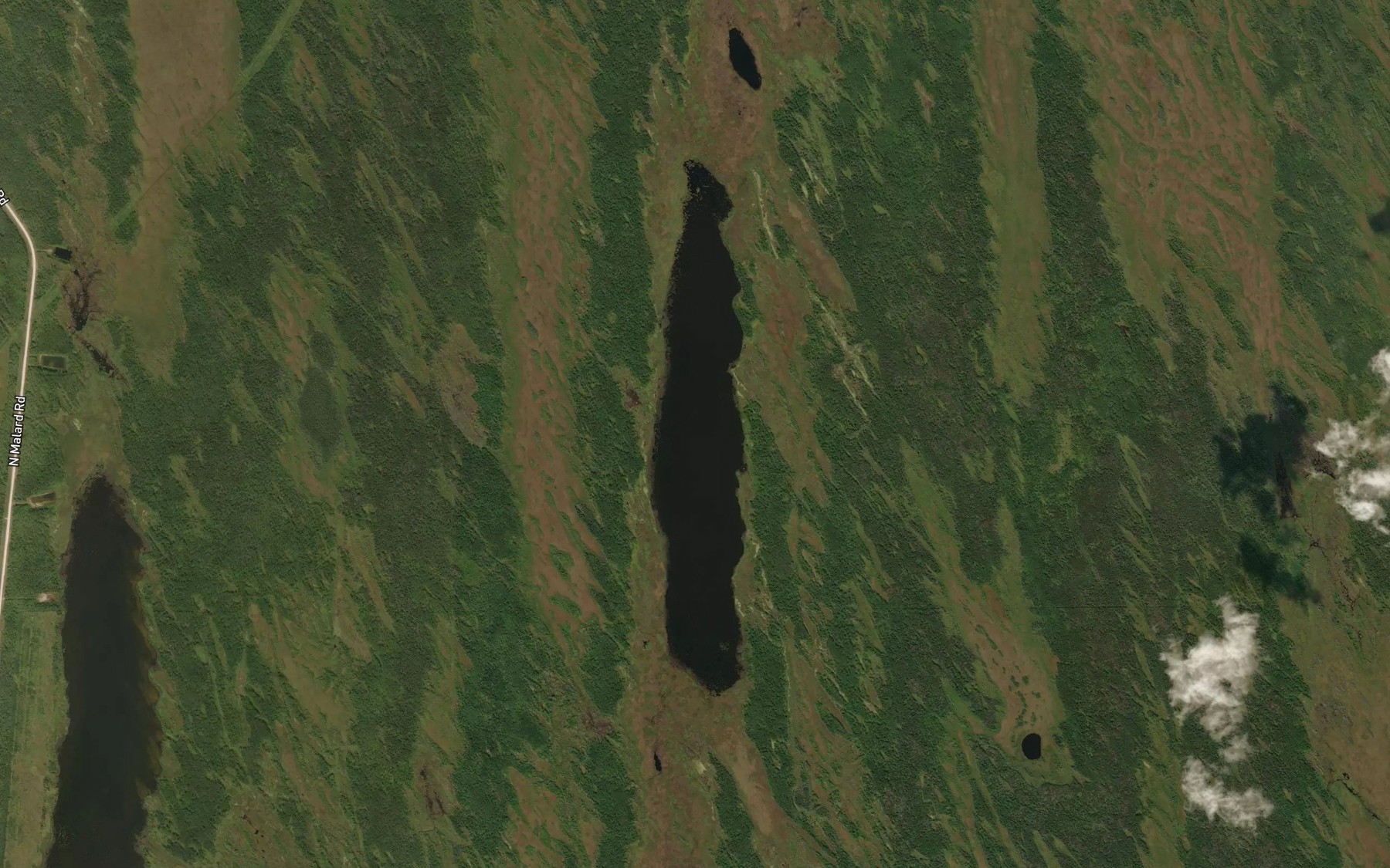 Satellite map of the Bittern Lake