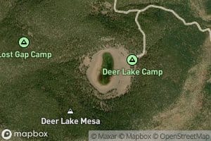 Deer Lake