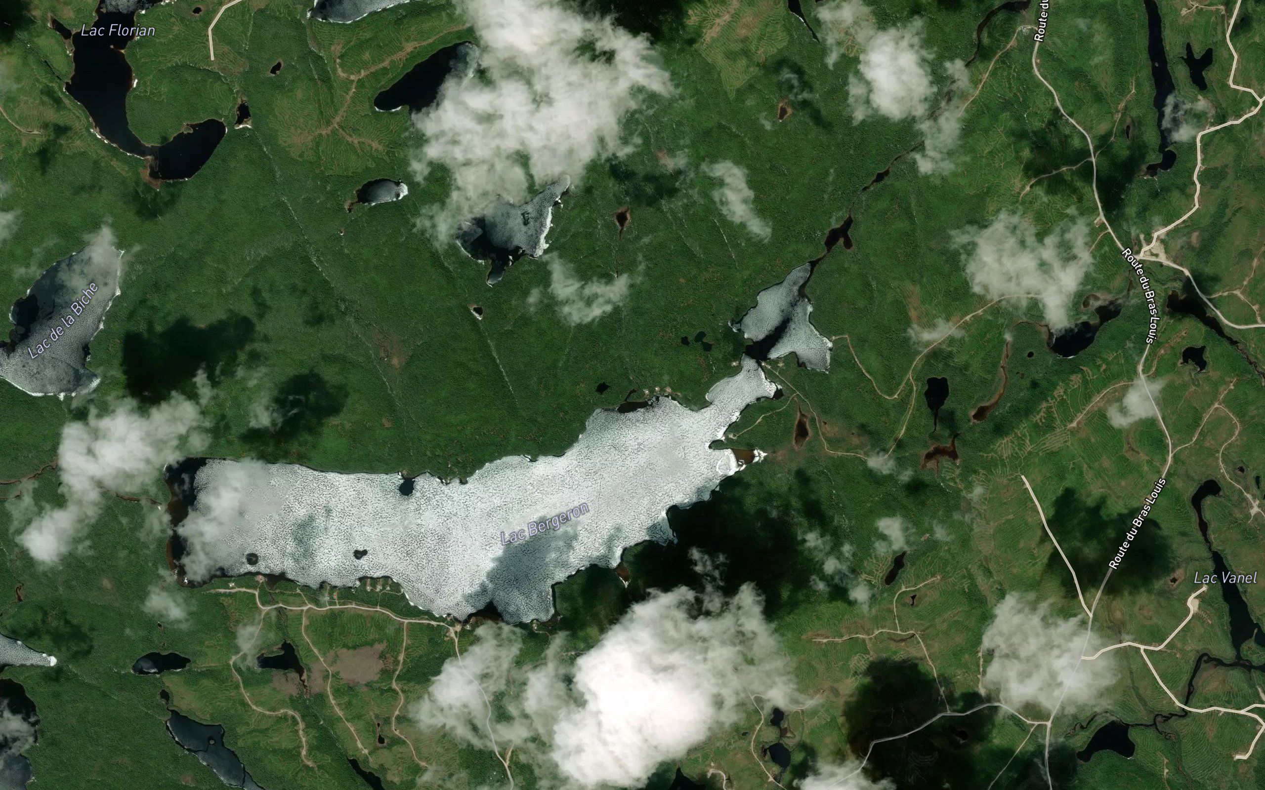 Ruisseau des Roitelets