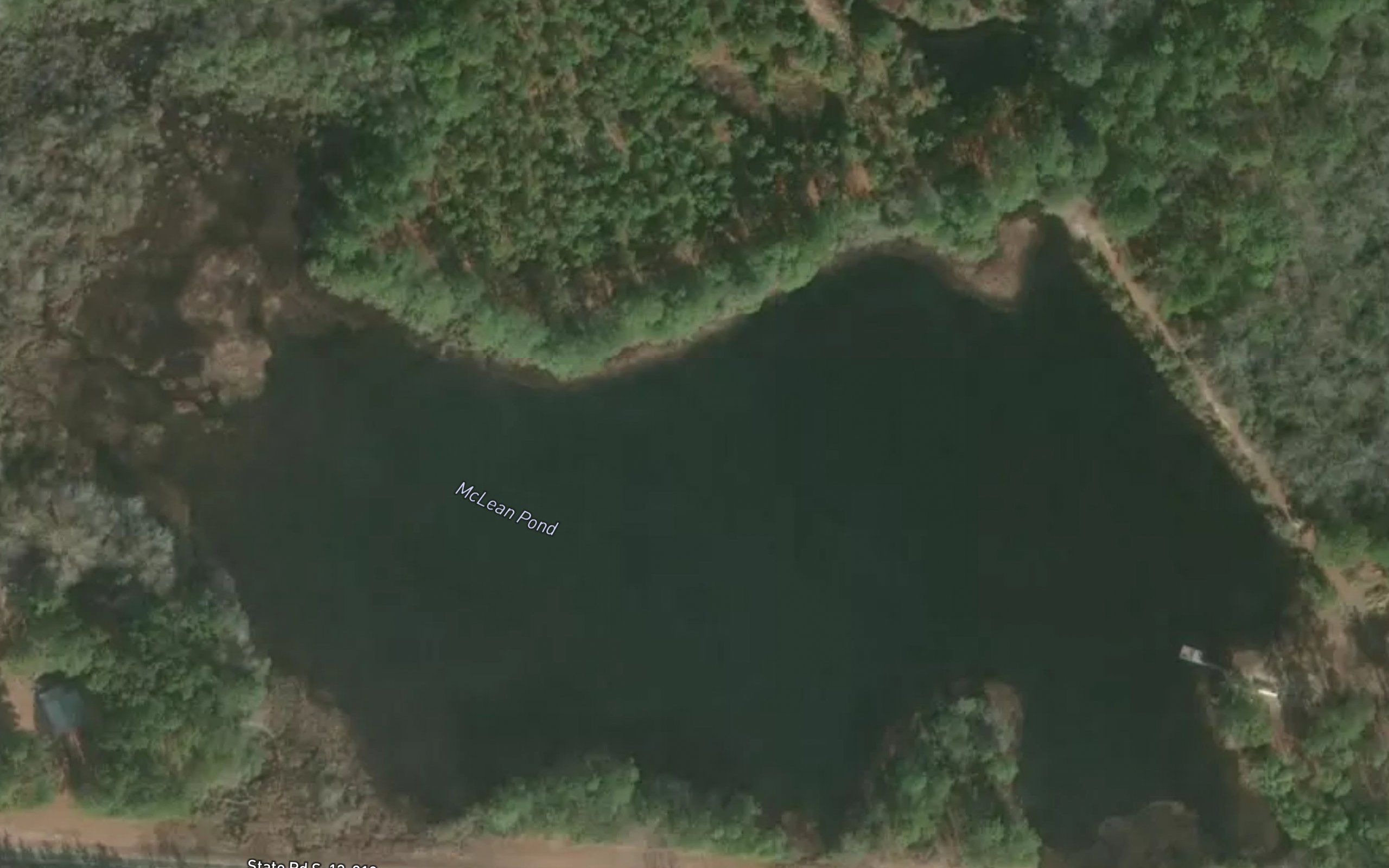 McLean Pond