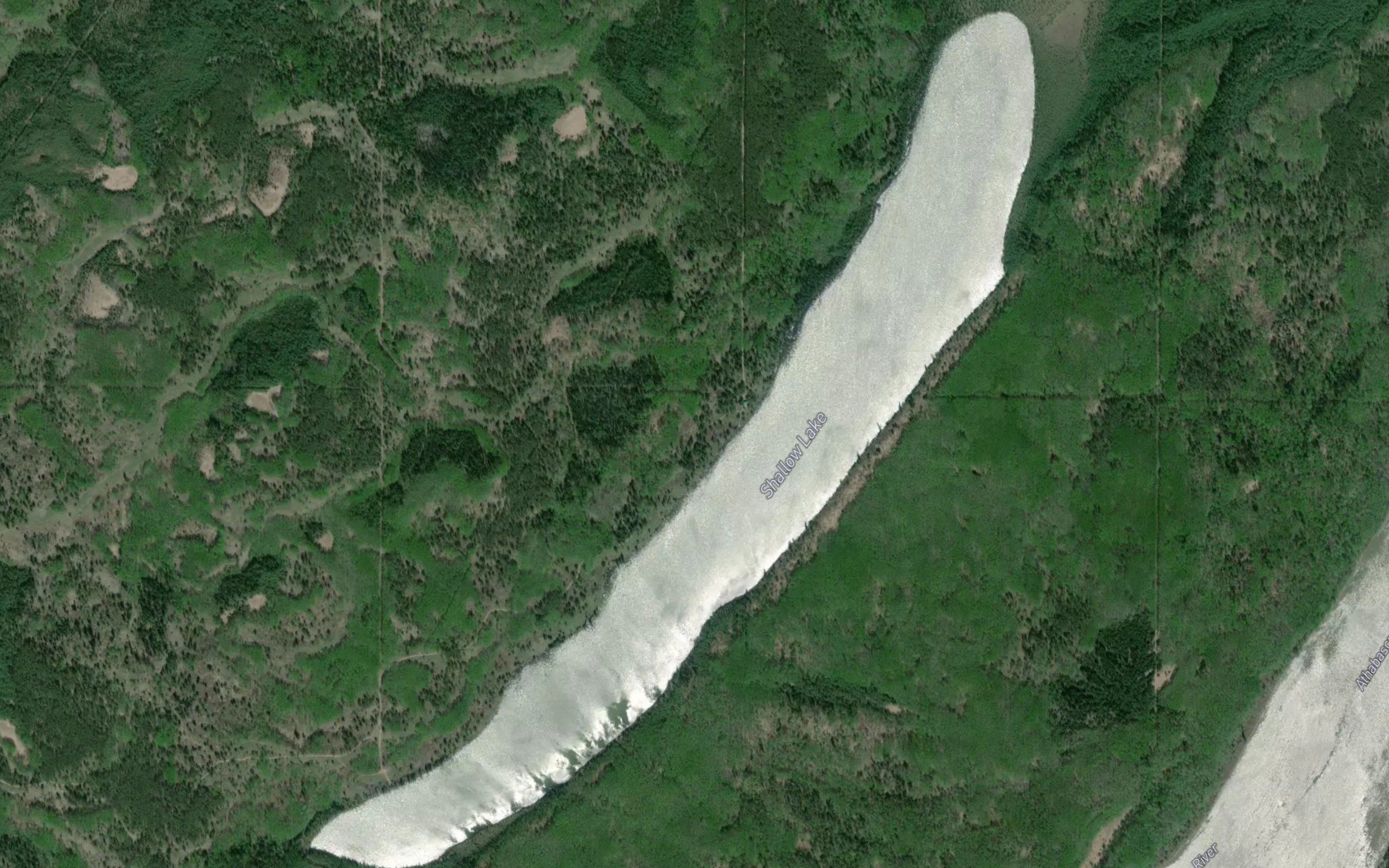 Shallow Lake
